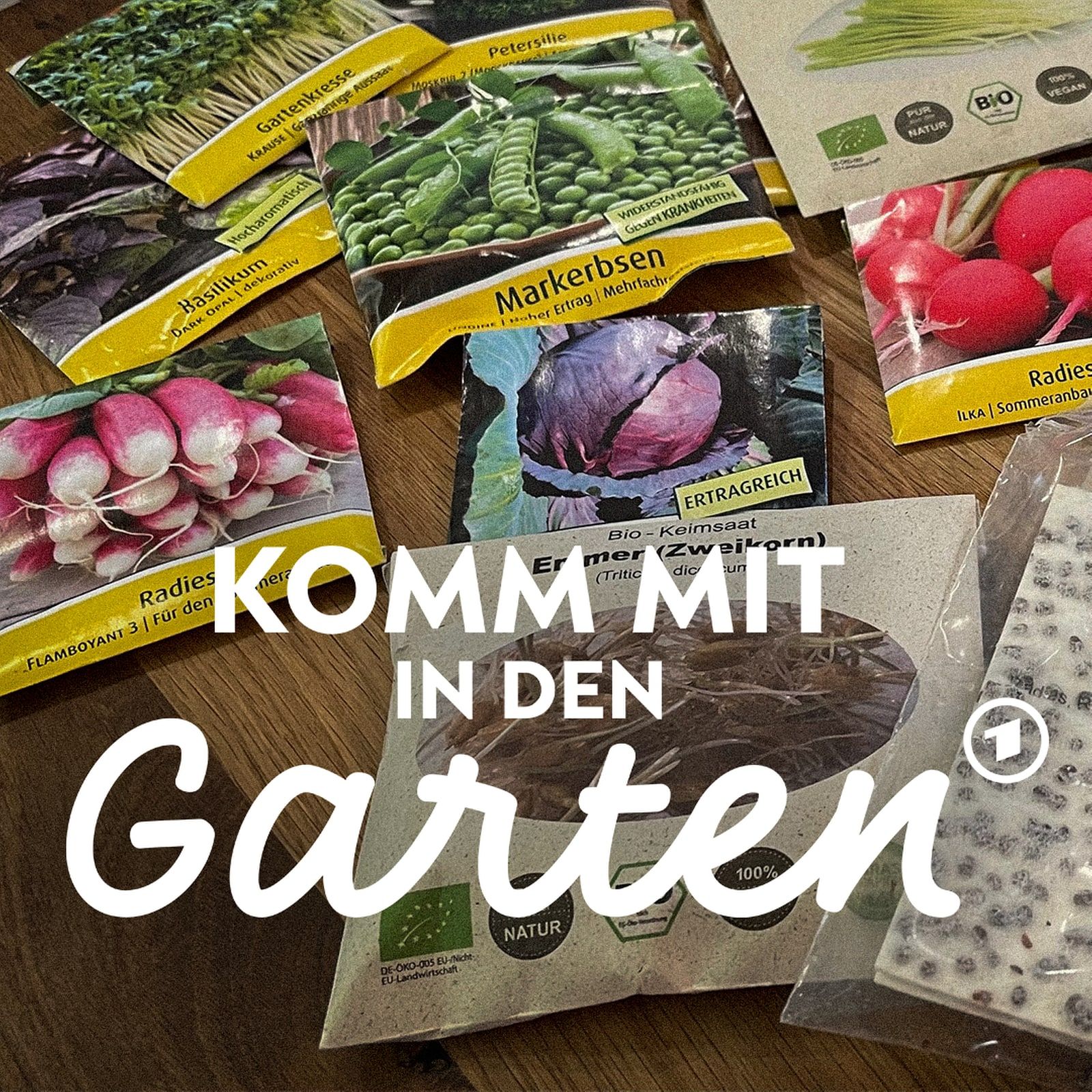 Saatgut aussuchen und richtig lagern