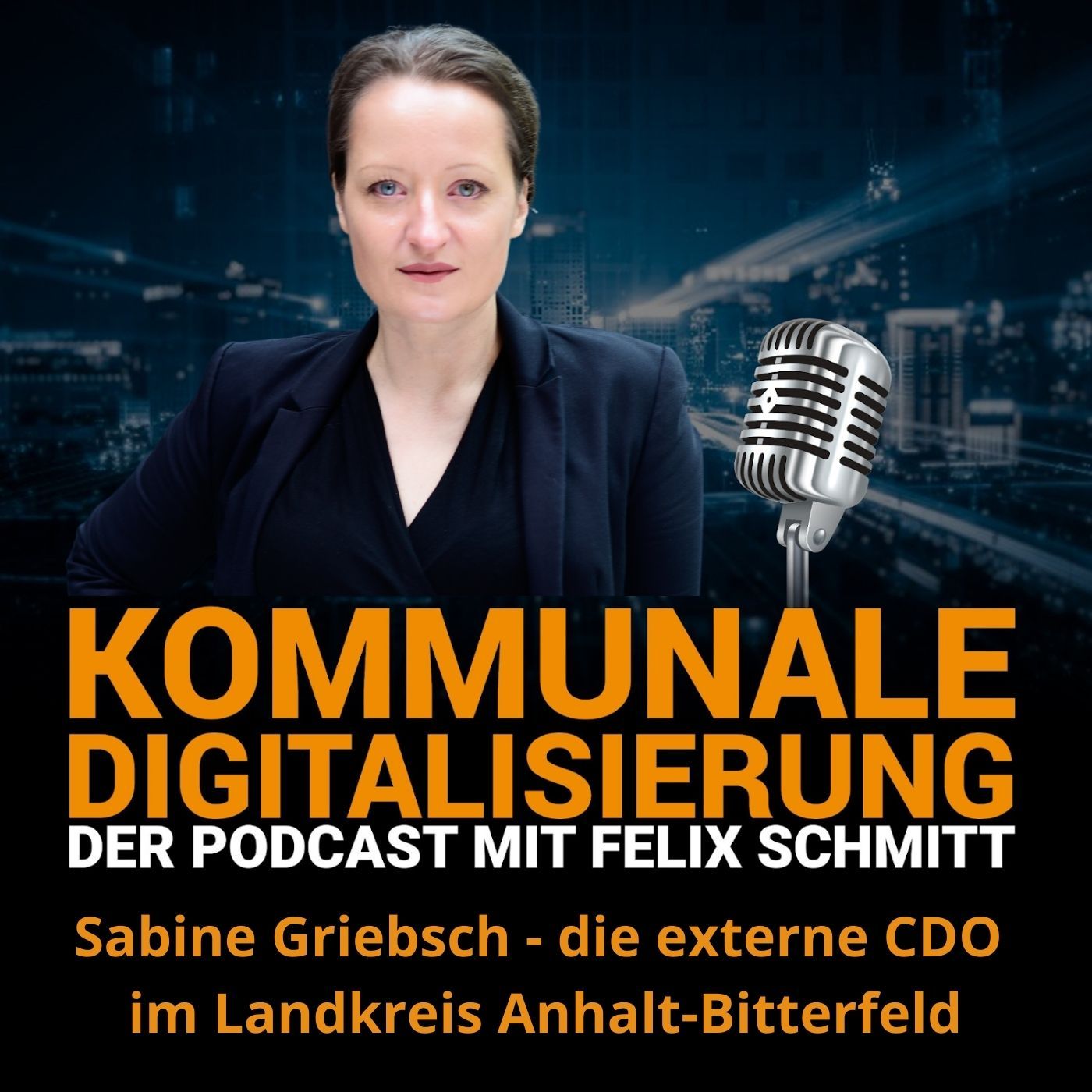 Sabine Griebsch - die externe CDO im Landkreis Anhalt-Bitterfeld