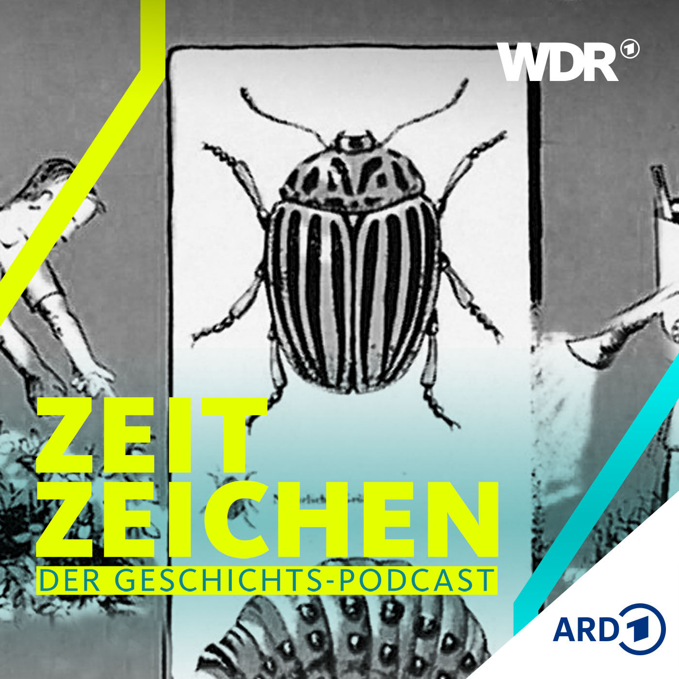 Sabotage aus der Luft? Die DDR und der Amikäfer