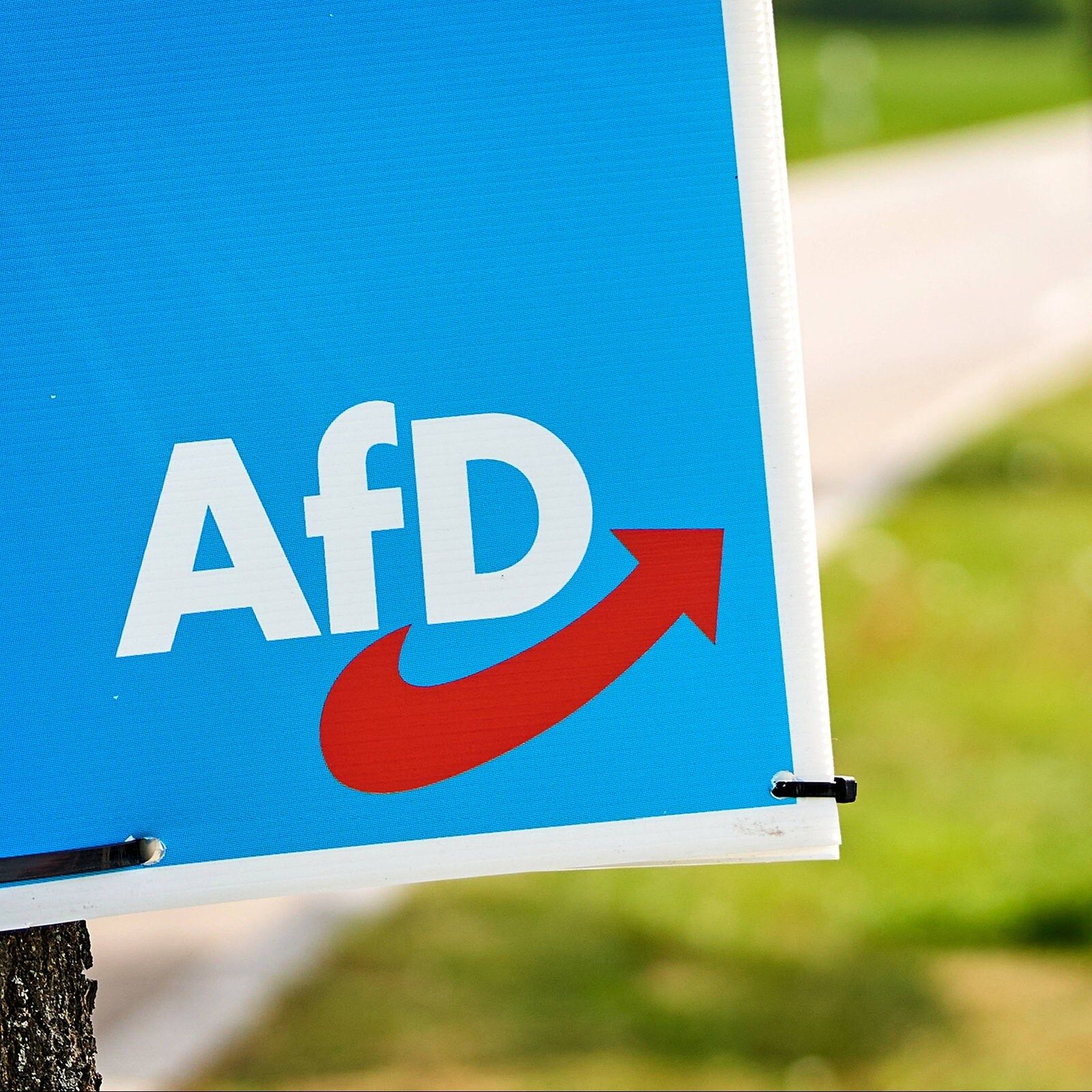 Sachsen-Anhalt: Die Gründe für das AfD-Hoch