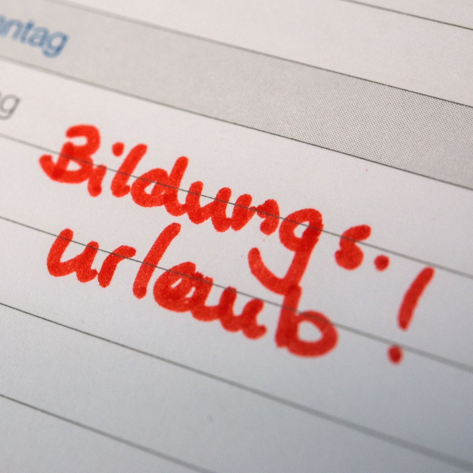 Sächsischer Landtag entscheidet über Bildungsurlaub