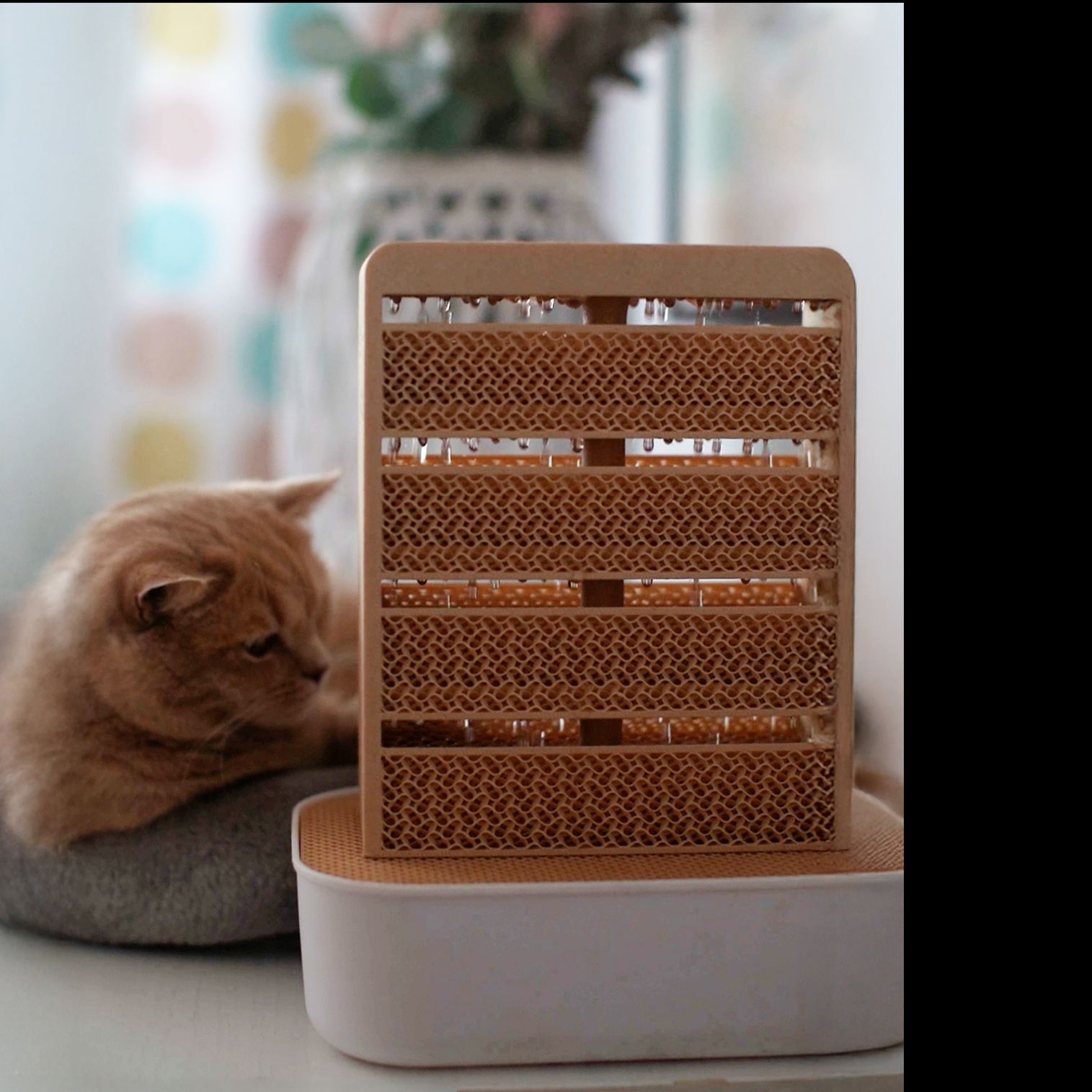 Salzluft wie am Meer