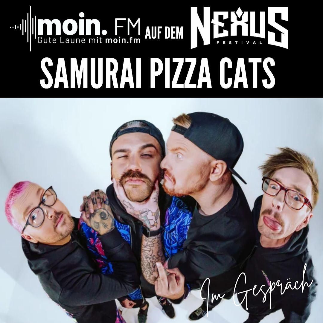 Samurai Pizza Cats - Im Gespräch