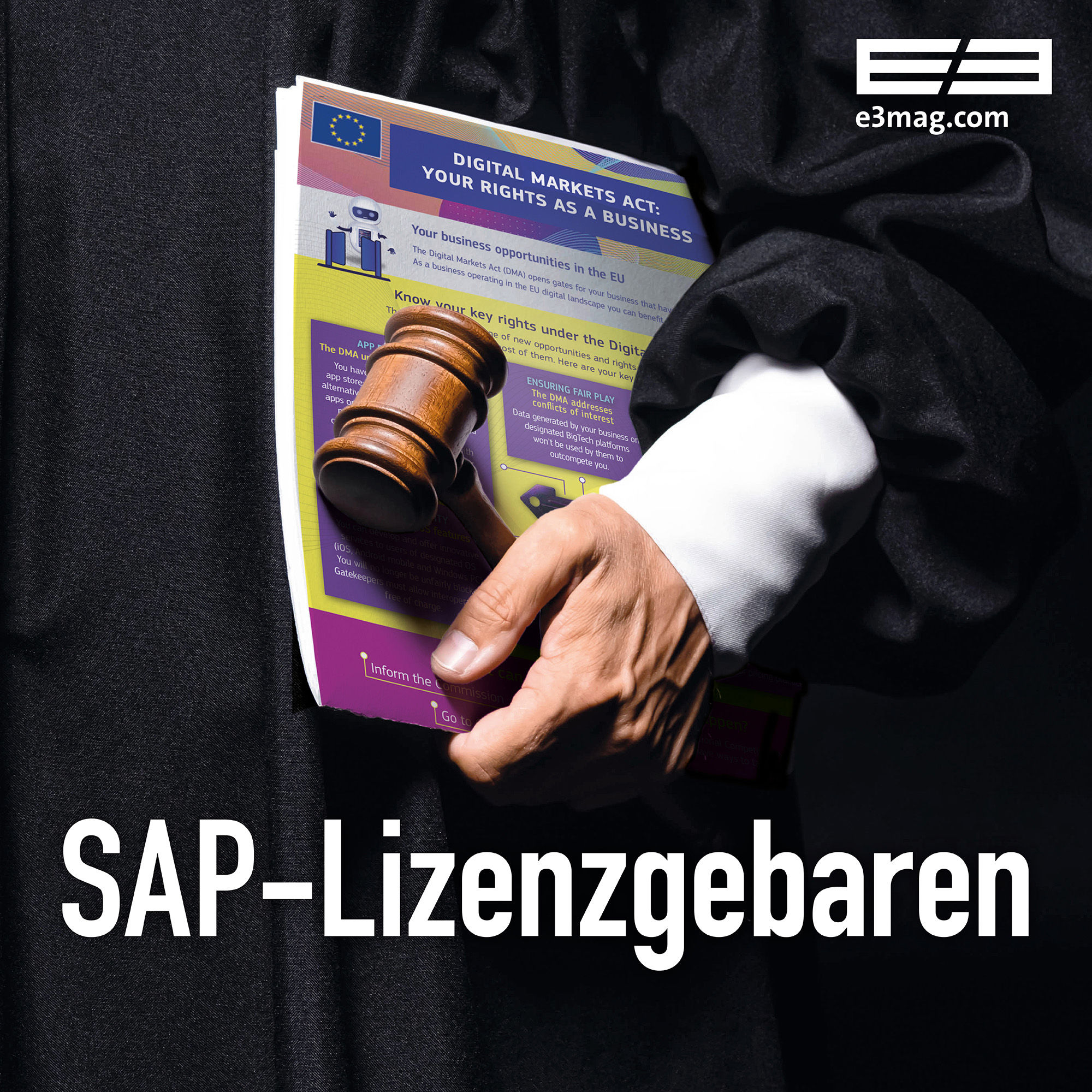 SAP-Lizenzgebaren (DE)