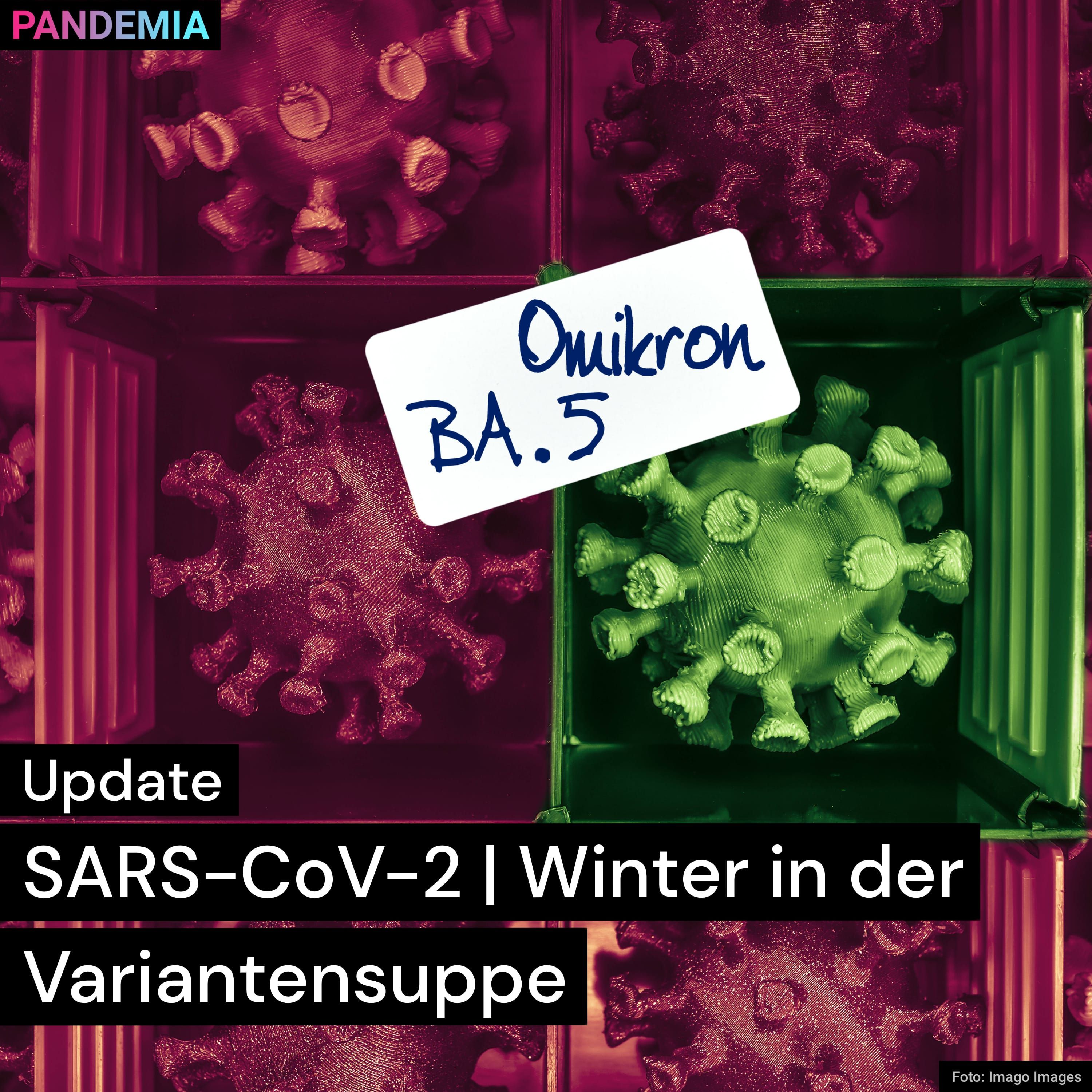 SARS-CoV-2 | Winter in der Variantensuppe