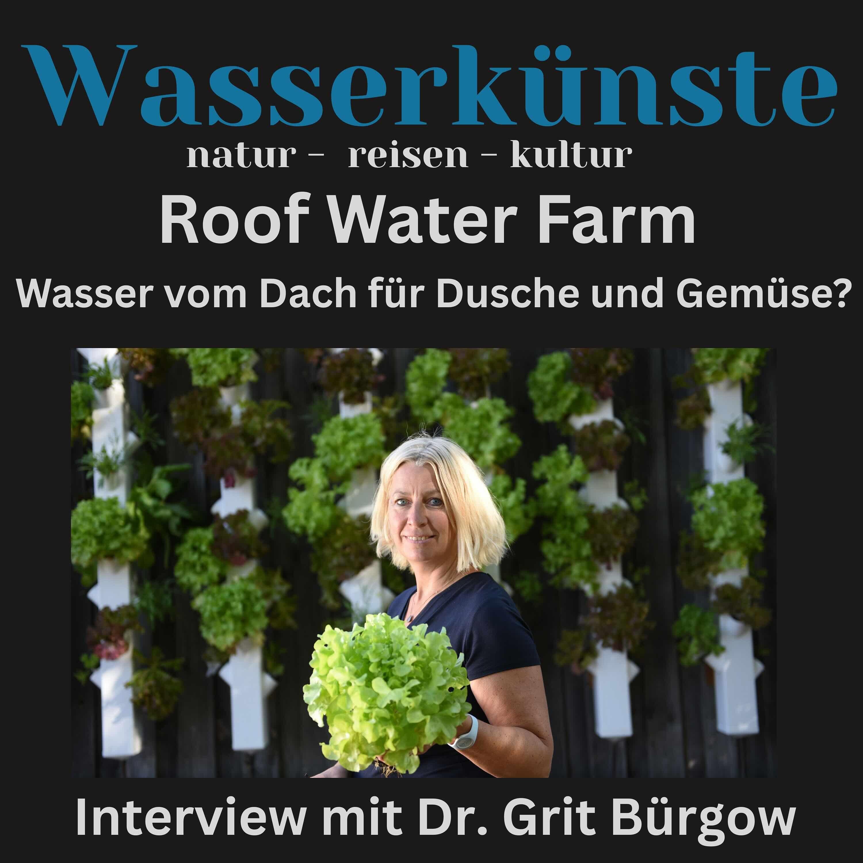 Sauberes Wasser und frisches Gemüse vom Dach - Roof Water Farm in Berlin