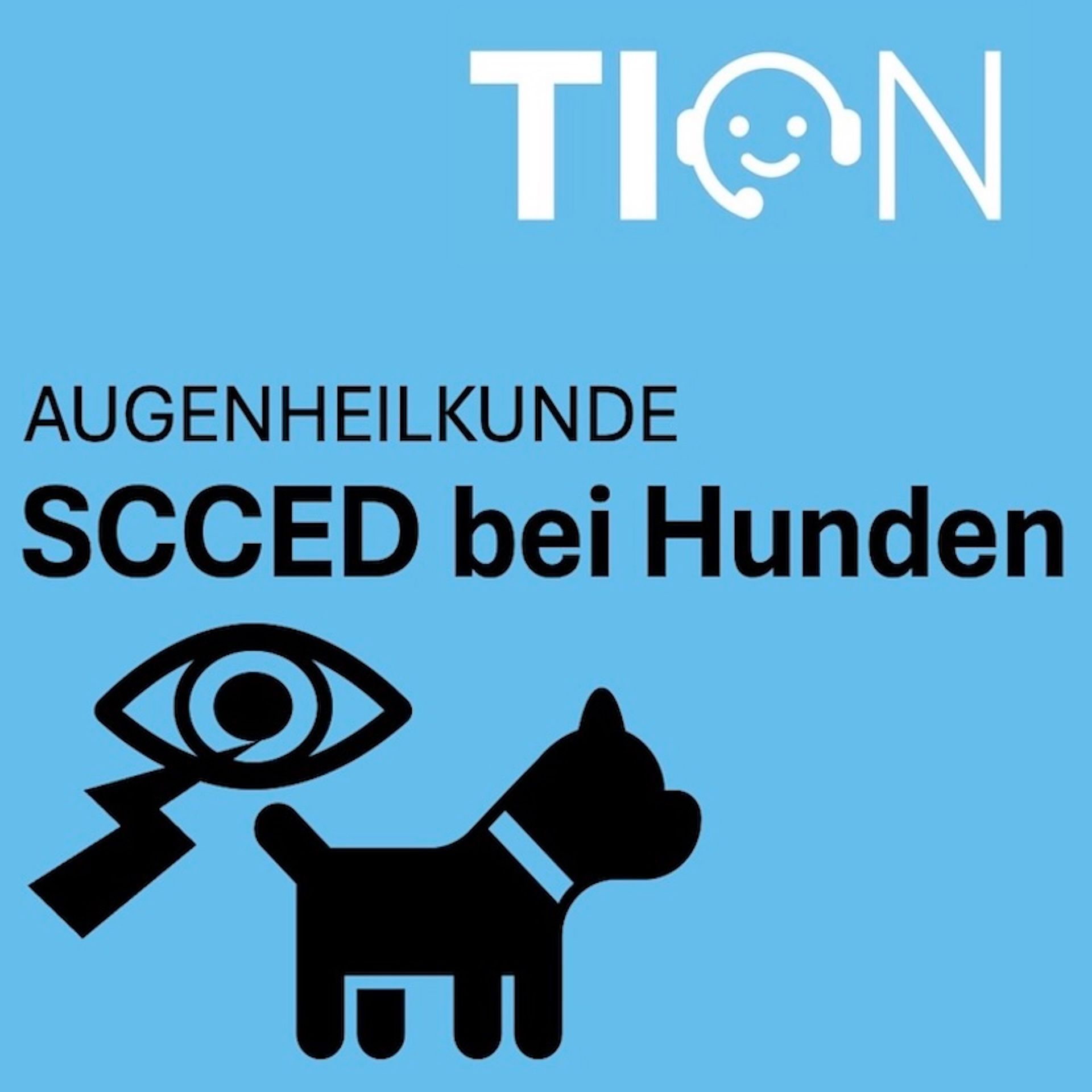 SCCED - spontaner chronischer cornealer Epitheldefekt bei Hunden