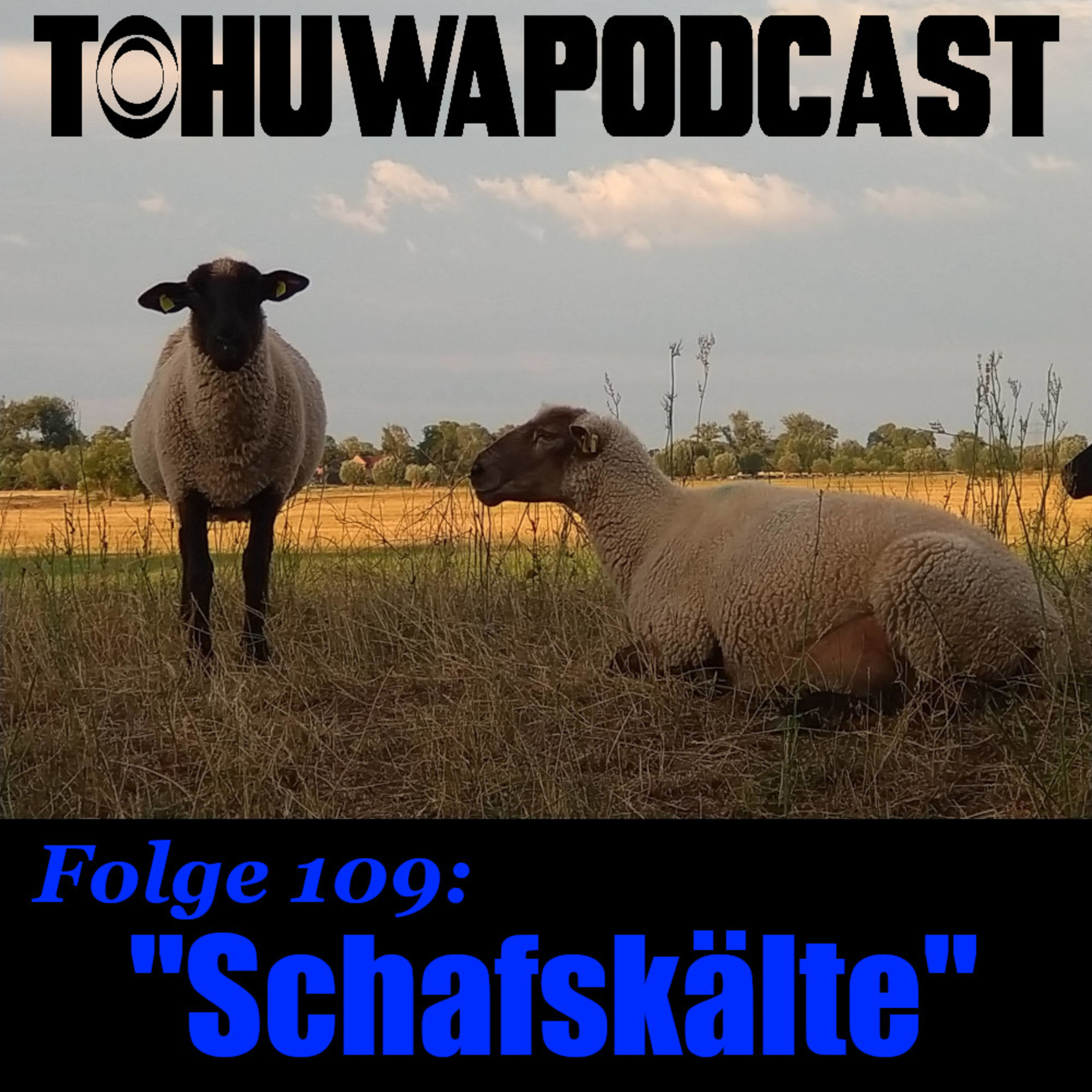 Schafskälte (AZ-Datum: 13.6.2024)