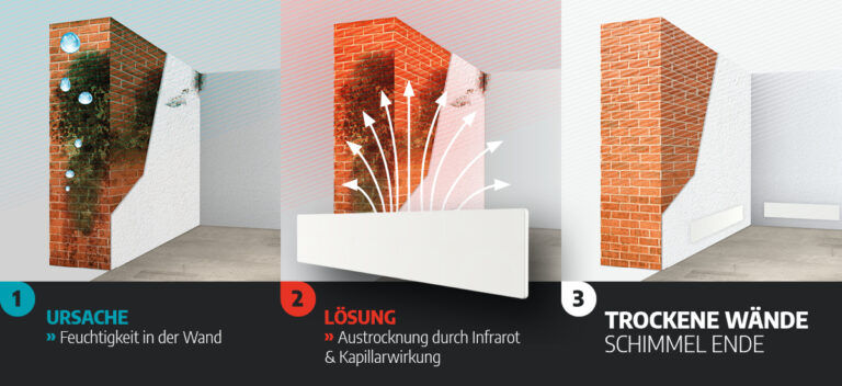 Schimmel natürlich und dauerhaft entfernen
