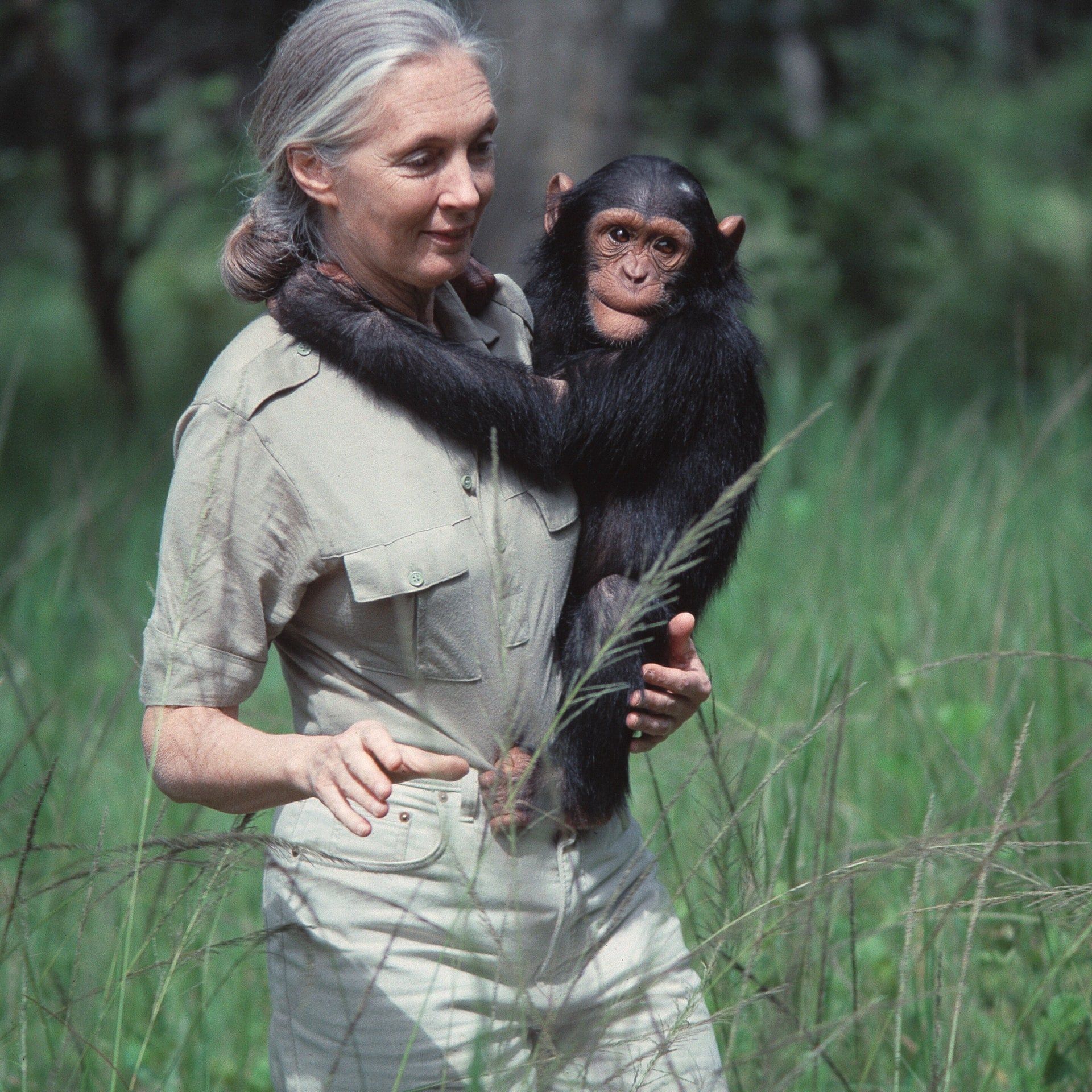 Schimpansenforscherin Jane Goodall mit 91 Jahren gestorben