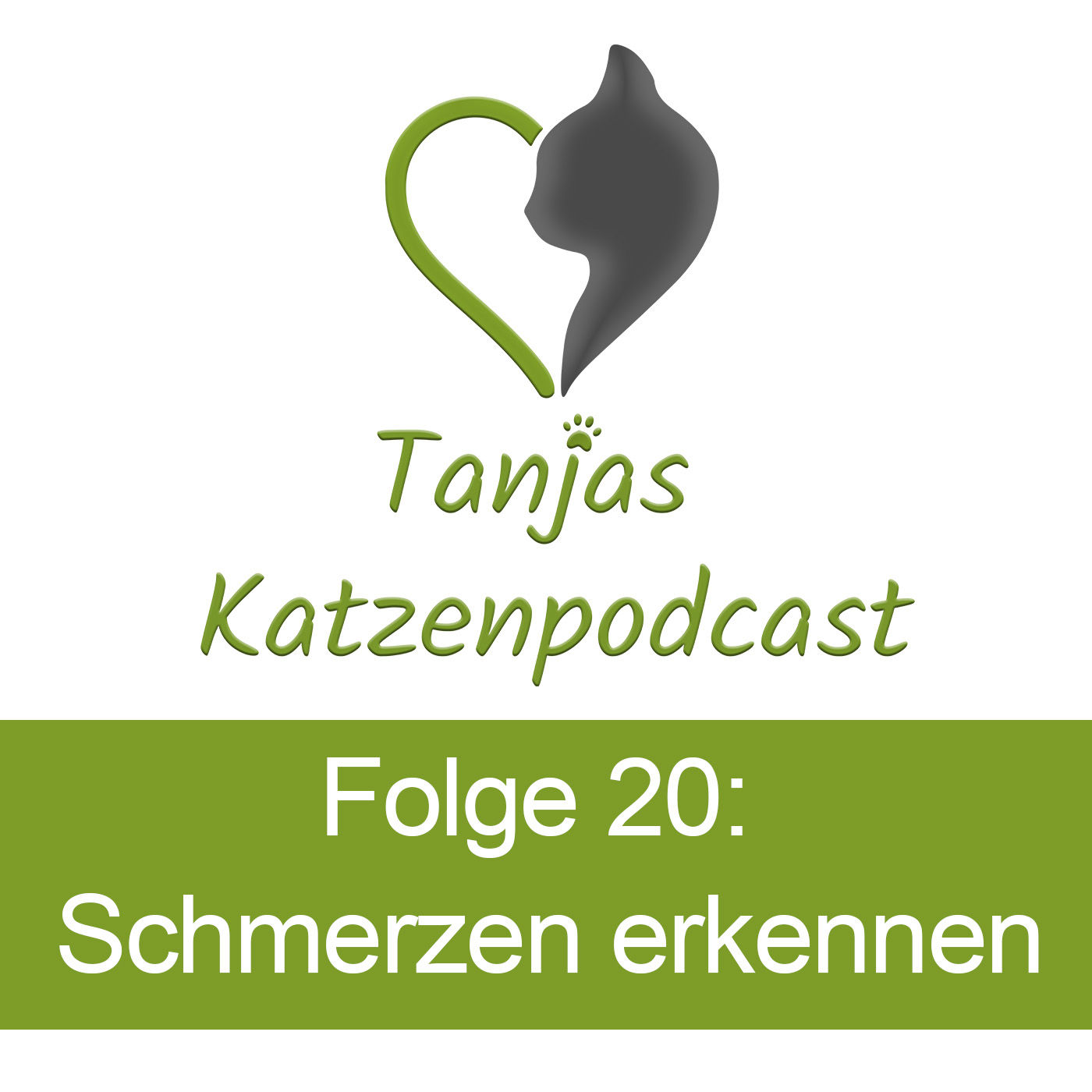 Schmerzen bei Katzen erkennen