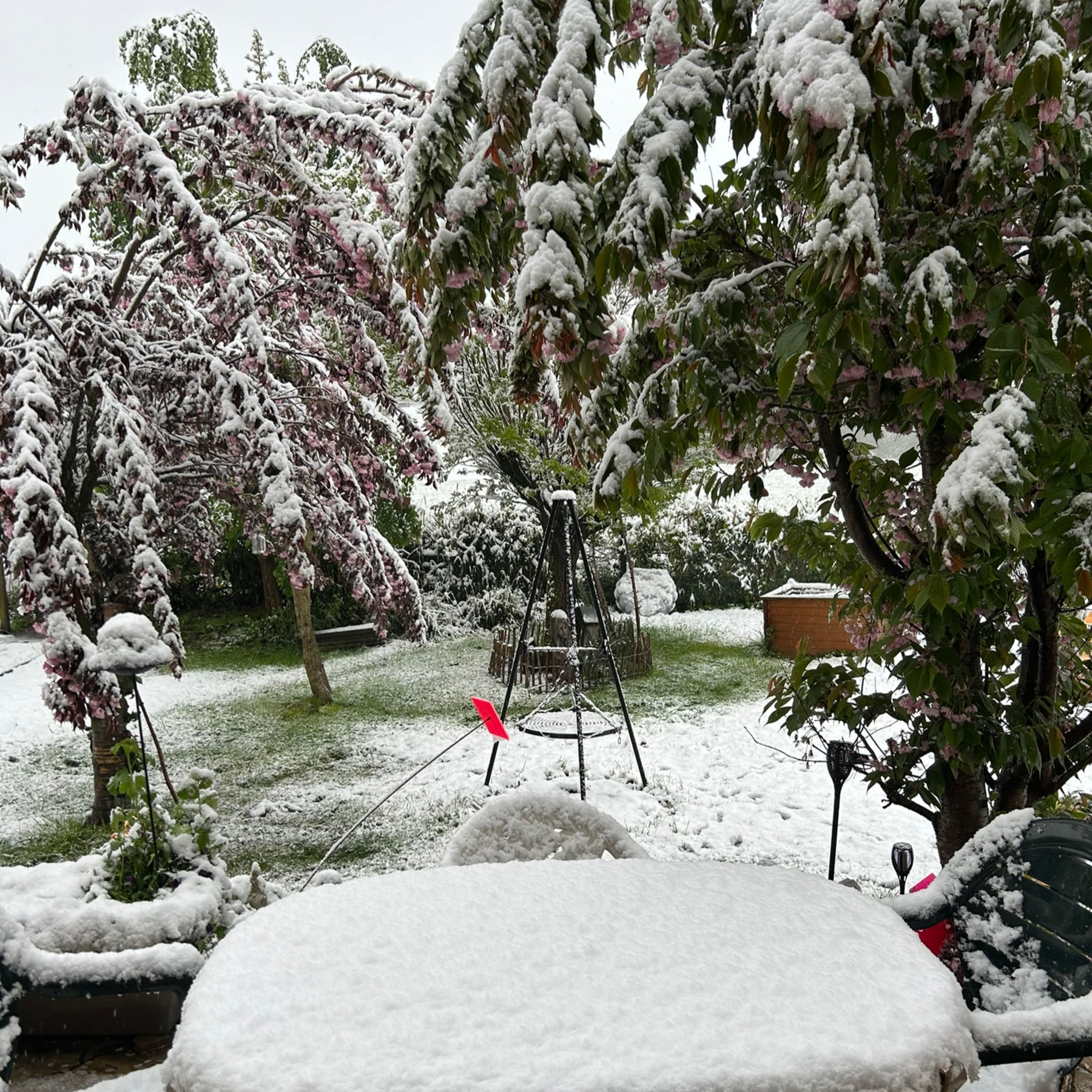 Schnee--ein--Bruch/Kurzes Winter-Intermezzo