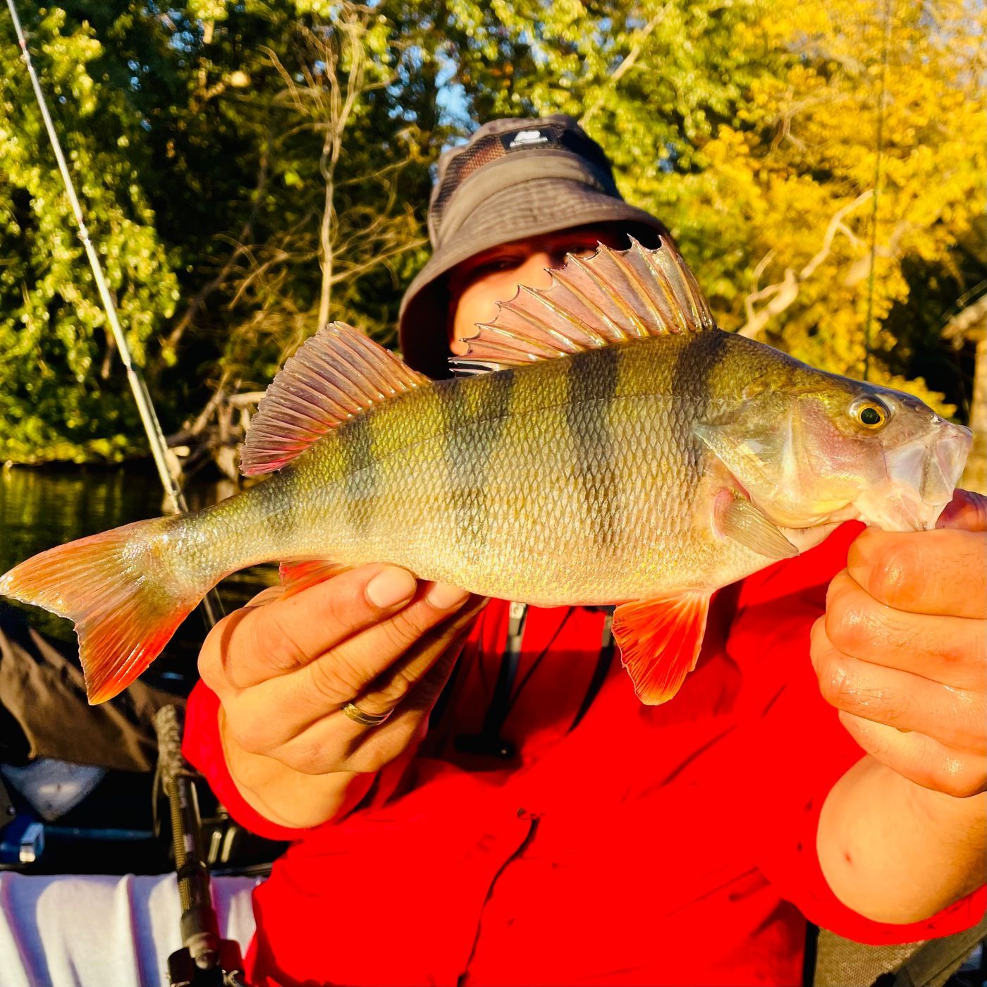 S.chneidern O.der S.inken? - Premiere mit dem Angelkajak | #106