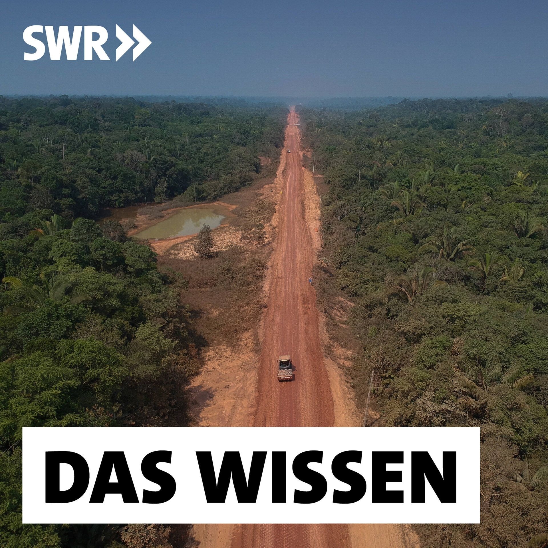 Schnellstraße durch den Regenwald – Lulas Projekt spaltet Brasilien