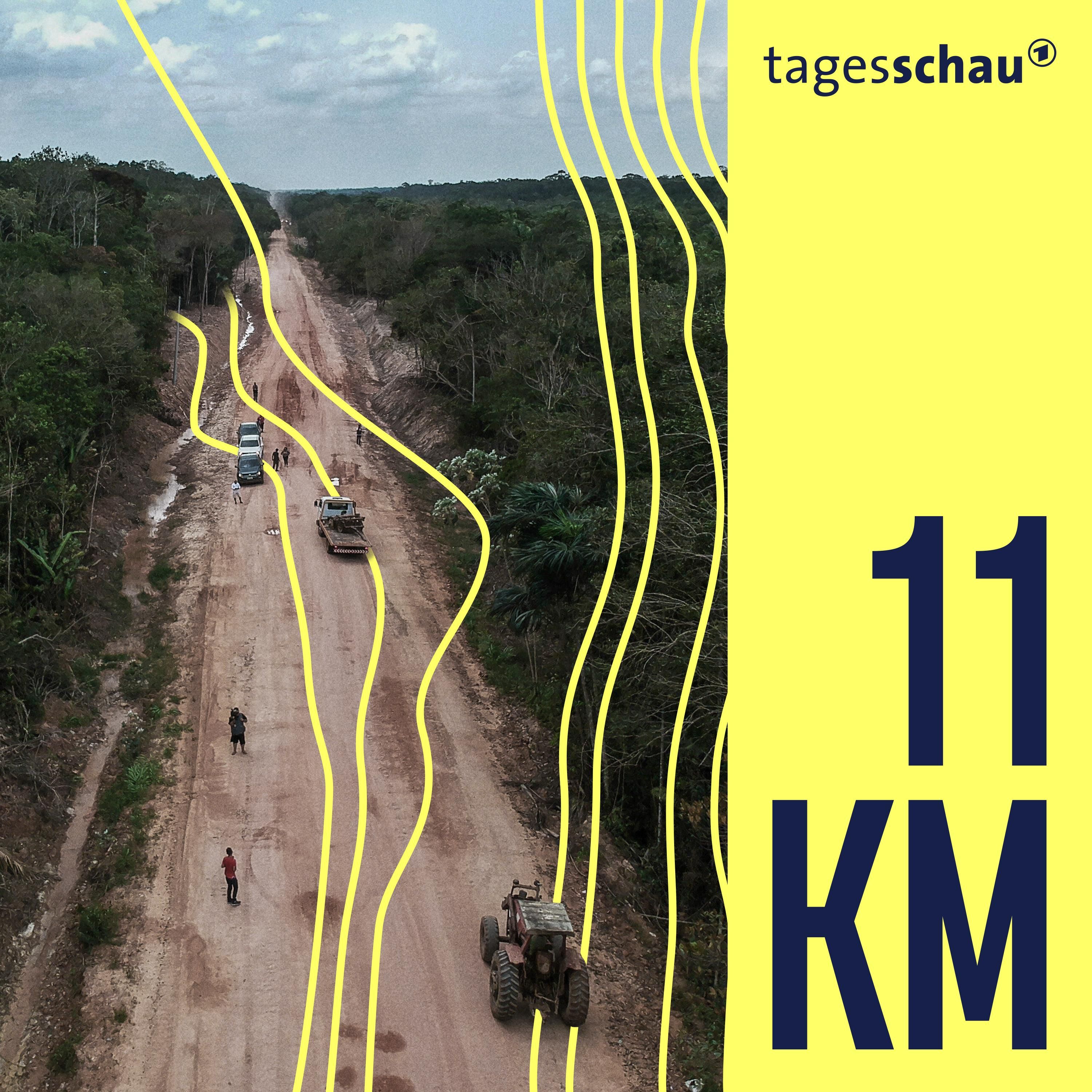 Schnellstraße im Regenwald: Weltklima auf der Kippe?