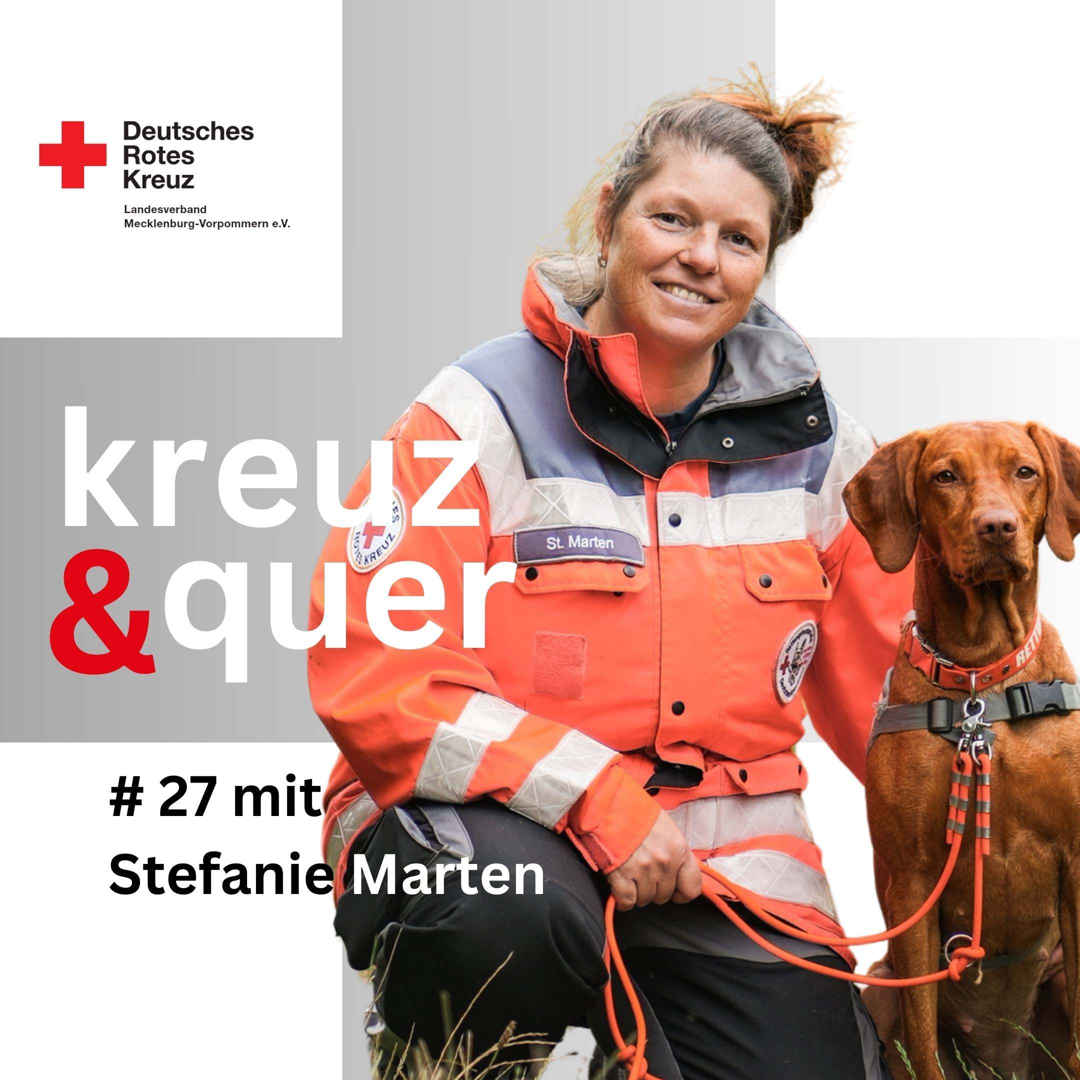 Schnüffeln für den Ernstfall – Rettungshunde im Einsatz.