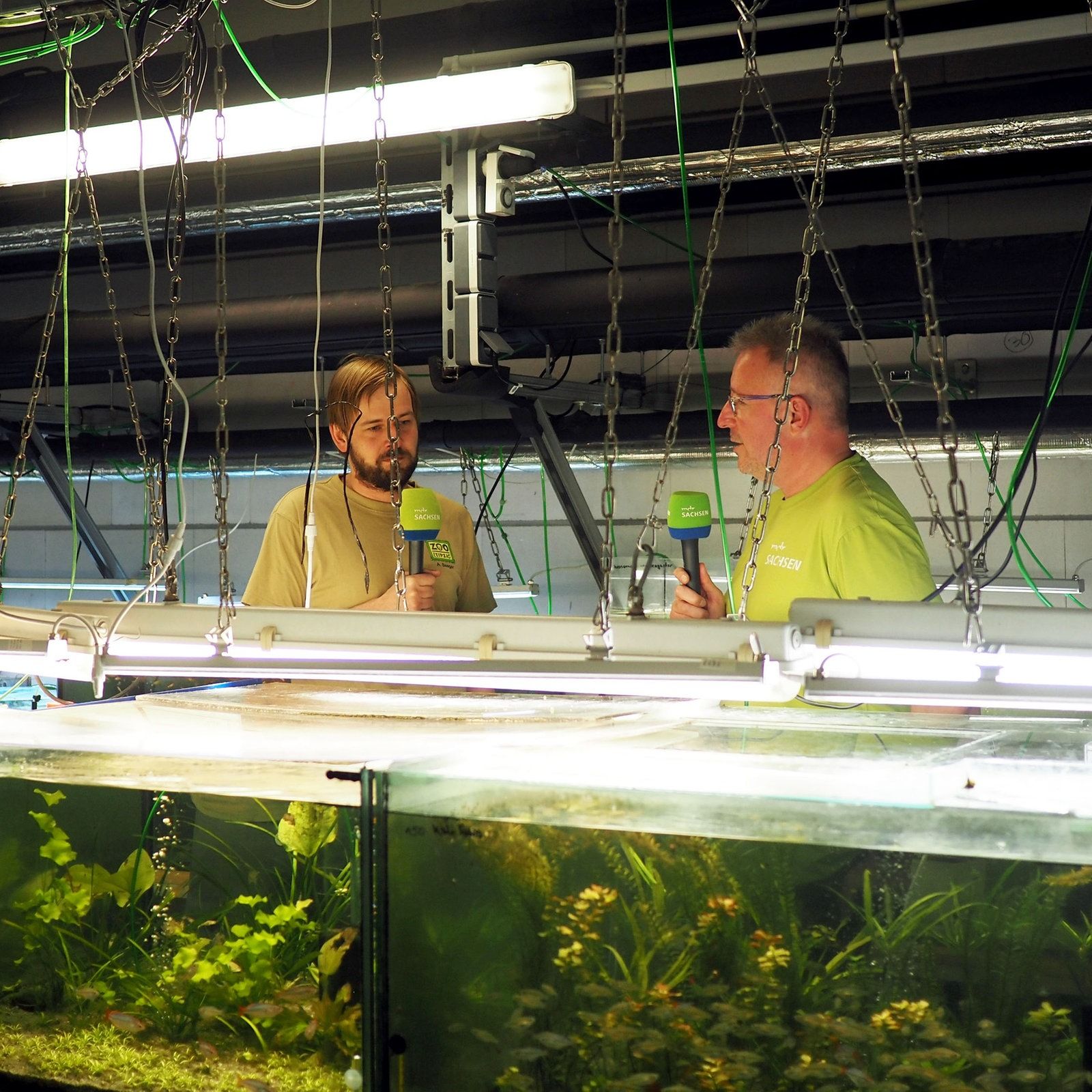 Schönheiten in Gefahr