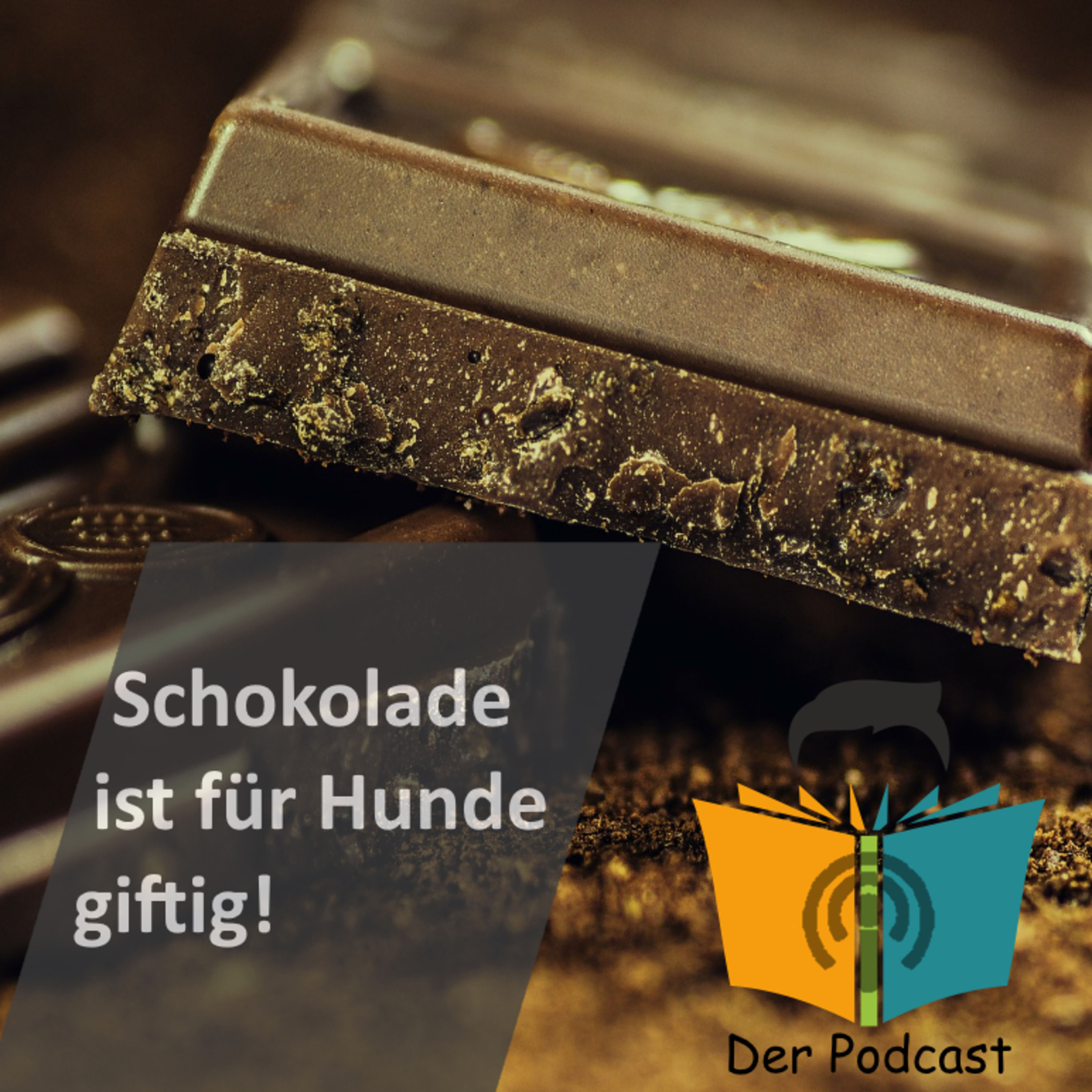 "Schokolade ist für Hunde giftig!" - IstDasFakt?!