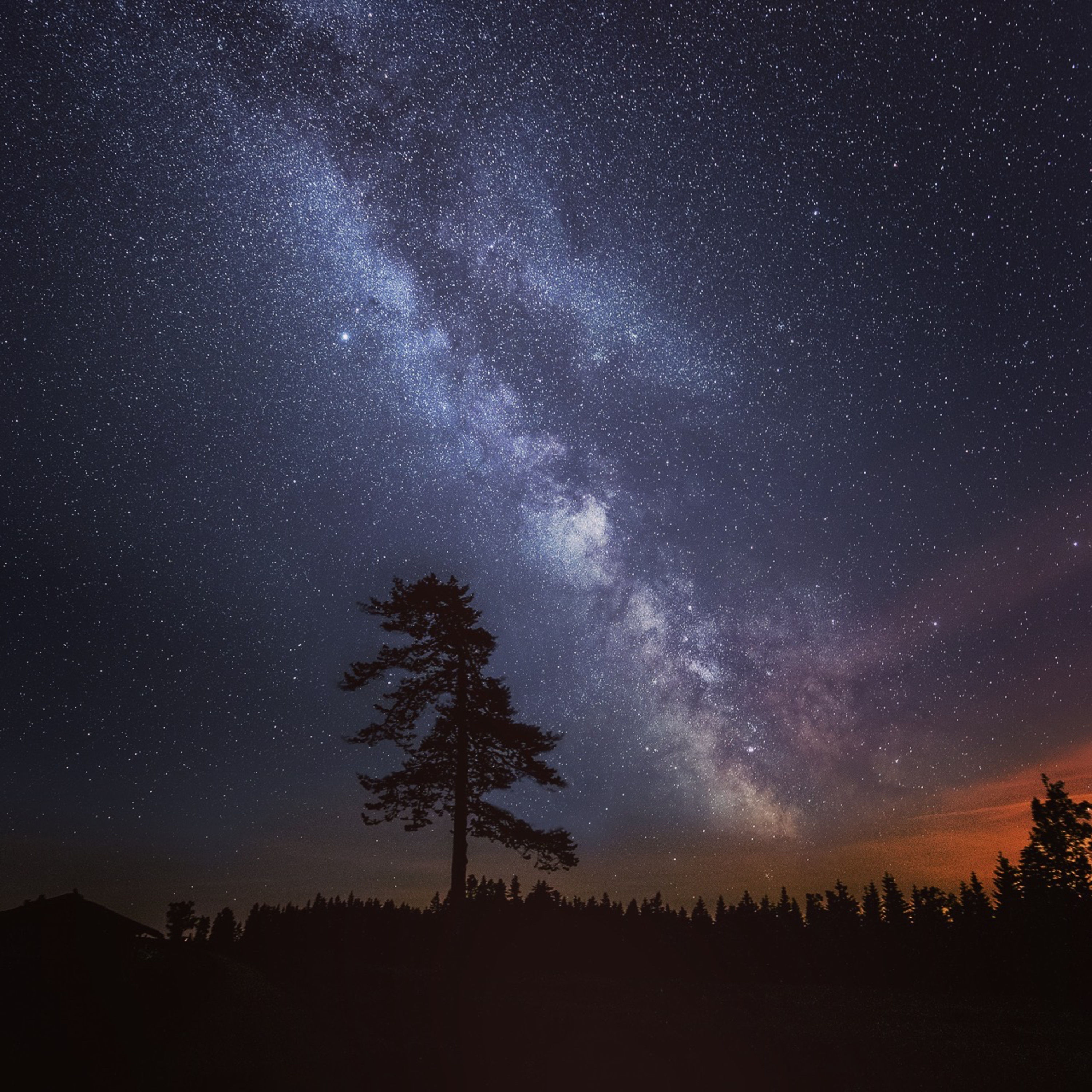 Schonzeitgespräche - zwischen Messe und Shitstorms