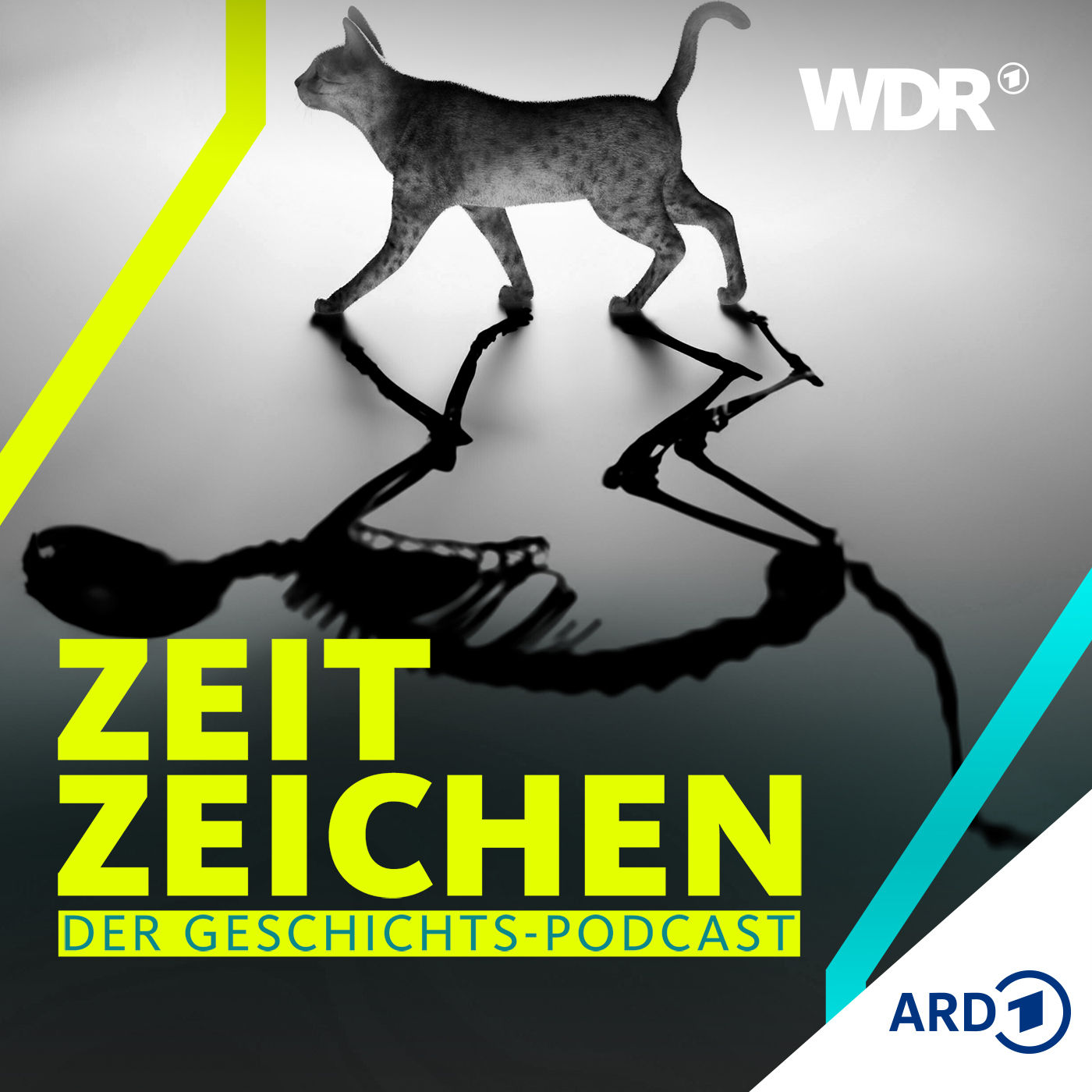 Schrödingers Katze: Das Symbol der Quantenphysik