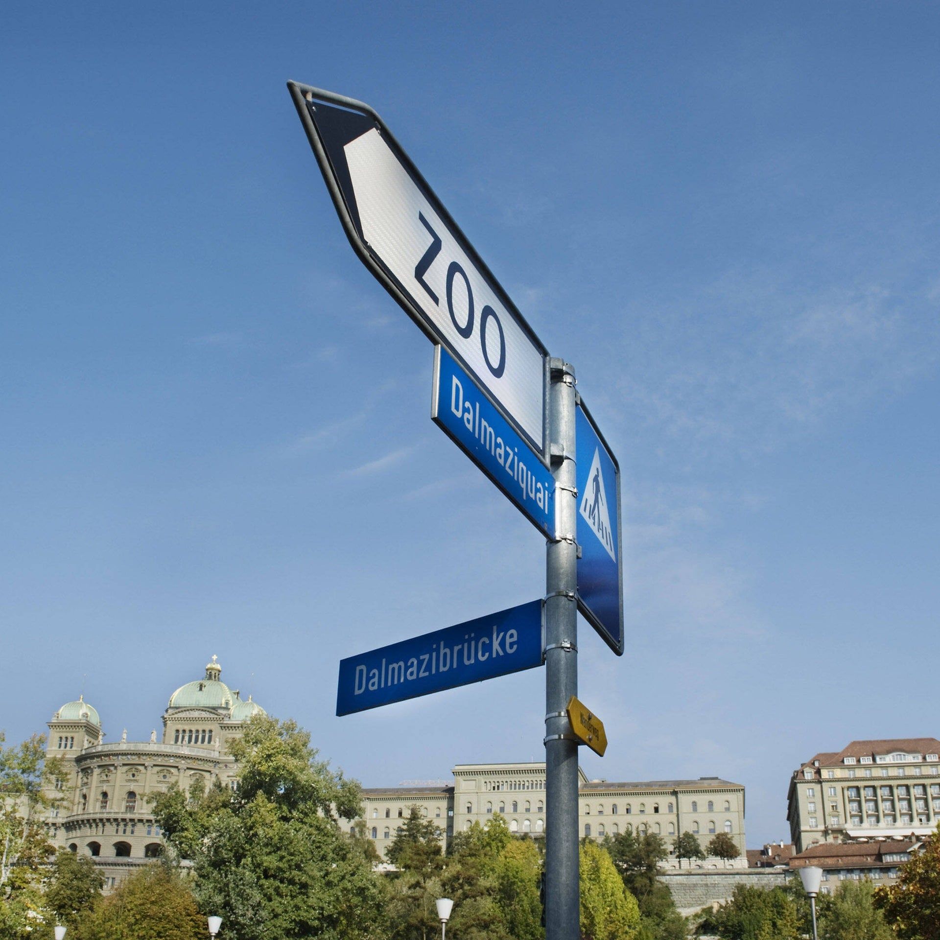 Schutz für Zootiere - Vogelgrippe-Impfungen in Schweizer Zoos