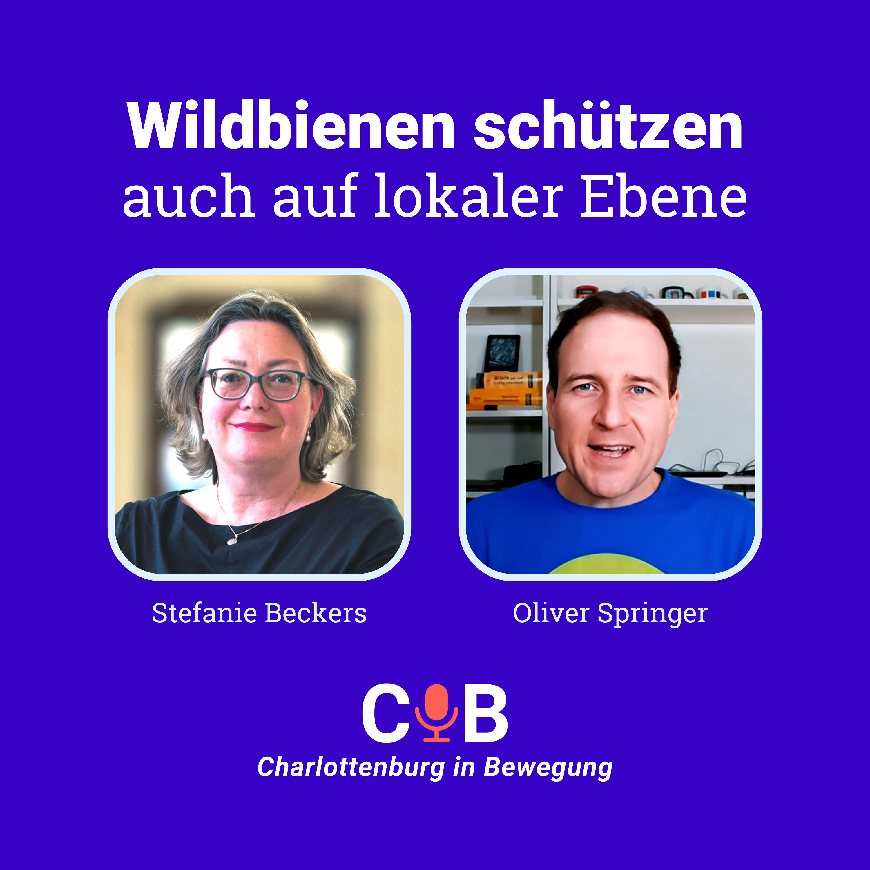 Schutz von Wildbienen auch auf lokaler Ebene