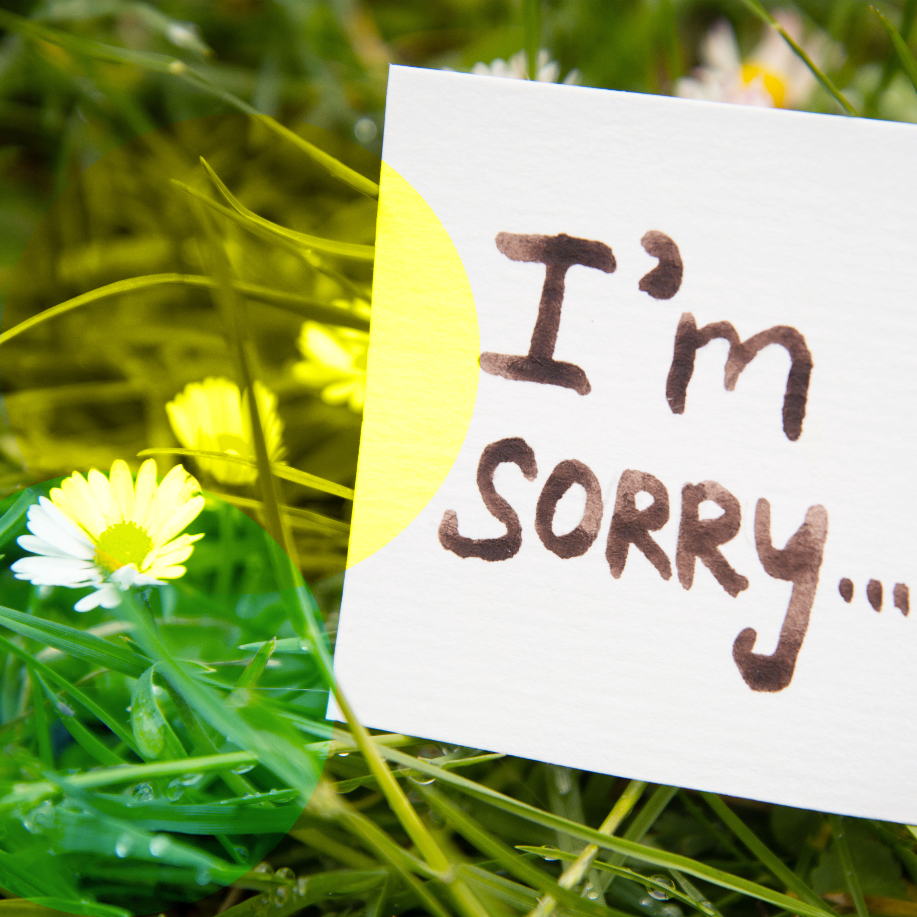 Schwamm drüber! Müssen wir verzeihen?