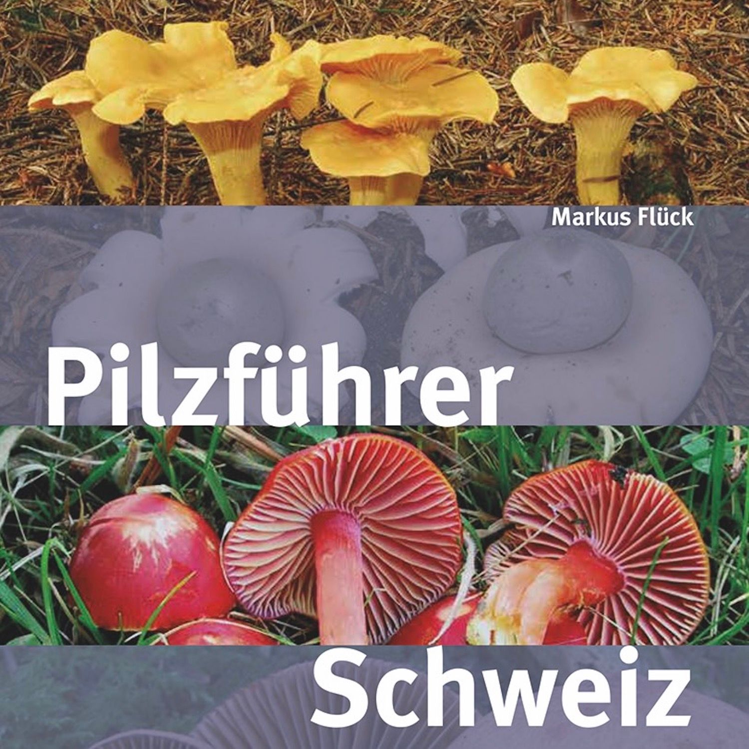 Schweizer Pilze