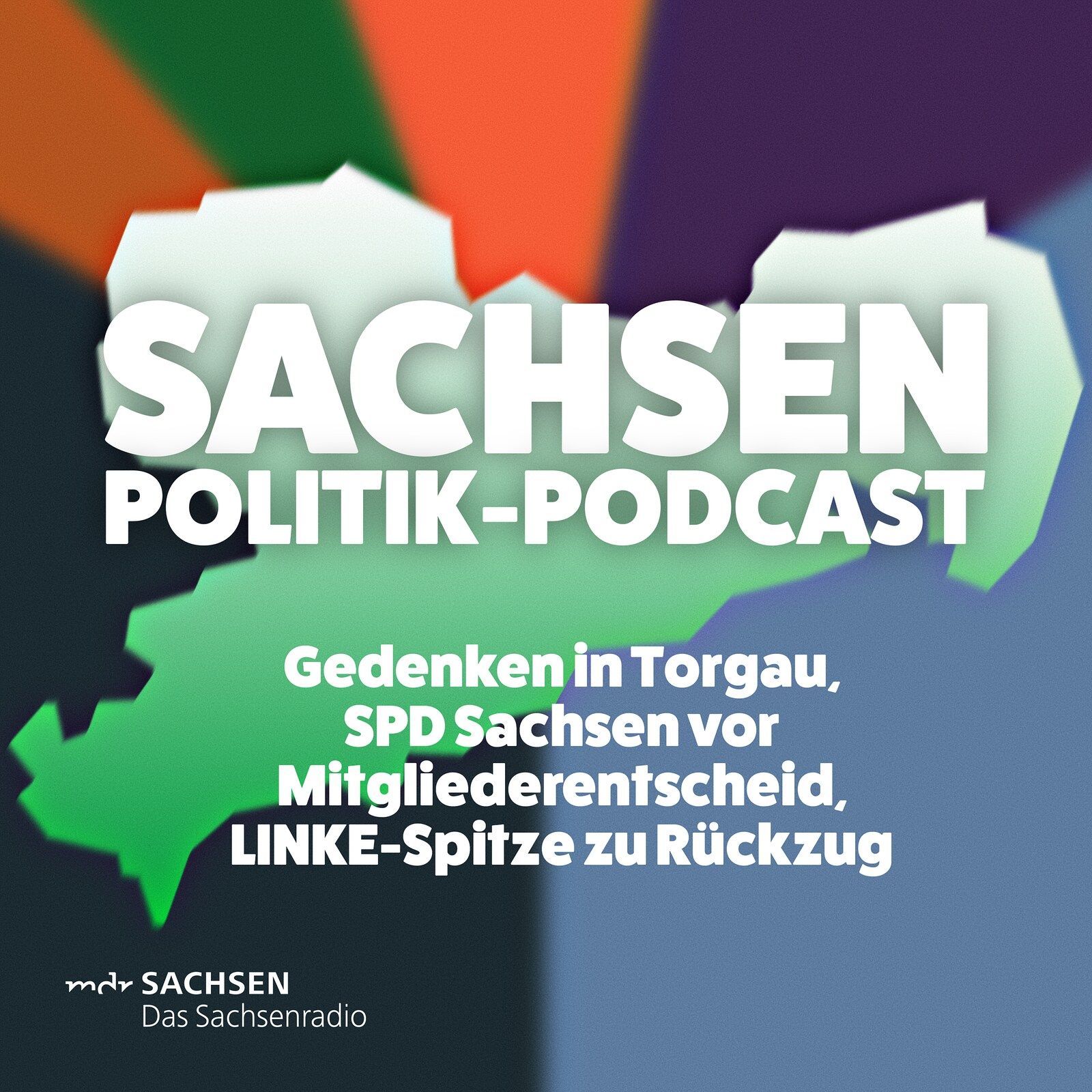 Schwieriges Gedenken in Torgau mit russischem Botschafter, SPD Sachsen vor Mitgliederentscheid über Koalitionsvertrag, LINKE-Spitze kündigt Rückzug an