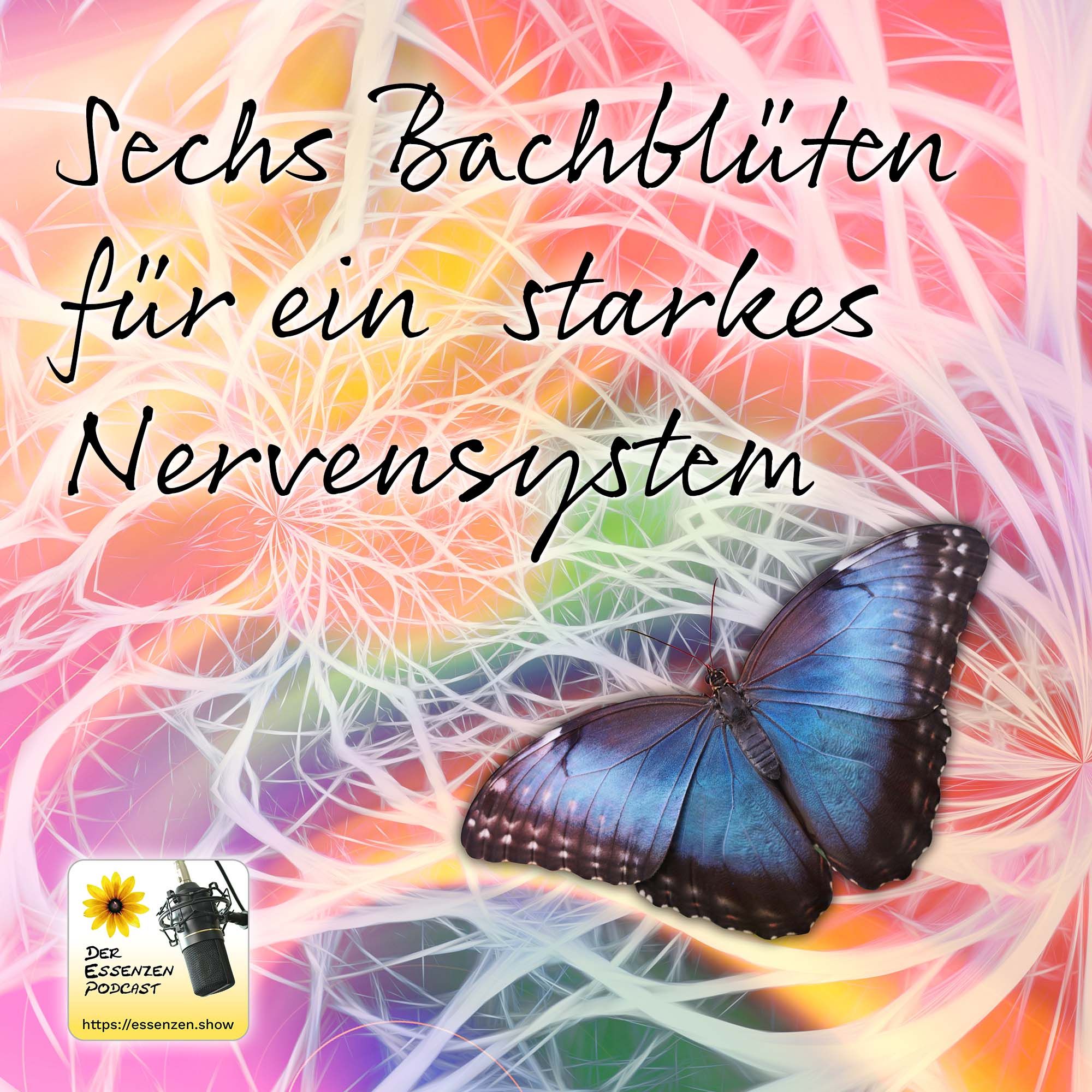 Sechs Bachblüten für ein starkes Nervensystem