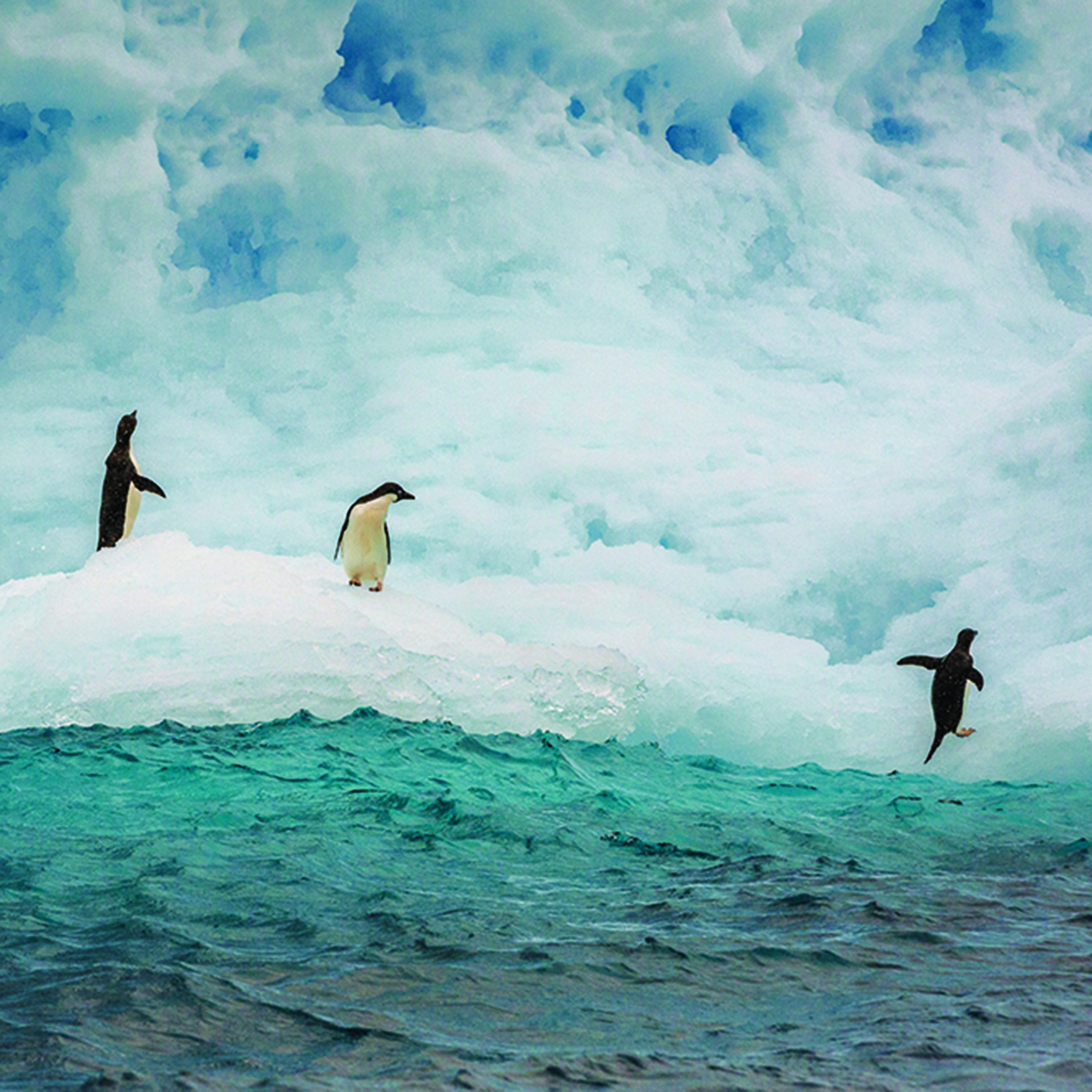 Secrets of the South Pole