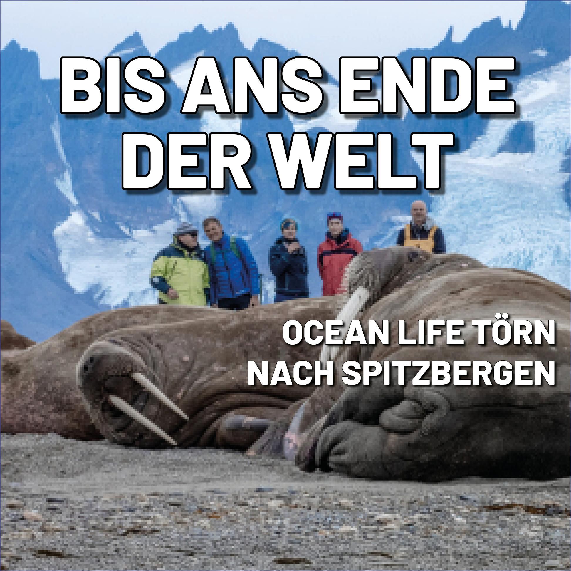 Segeln in Spitzbergen: Bis ans Ende der Welt