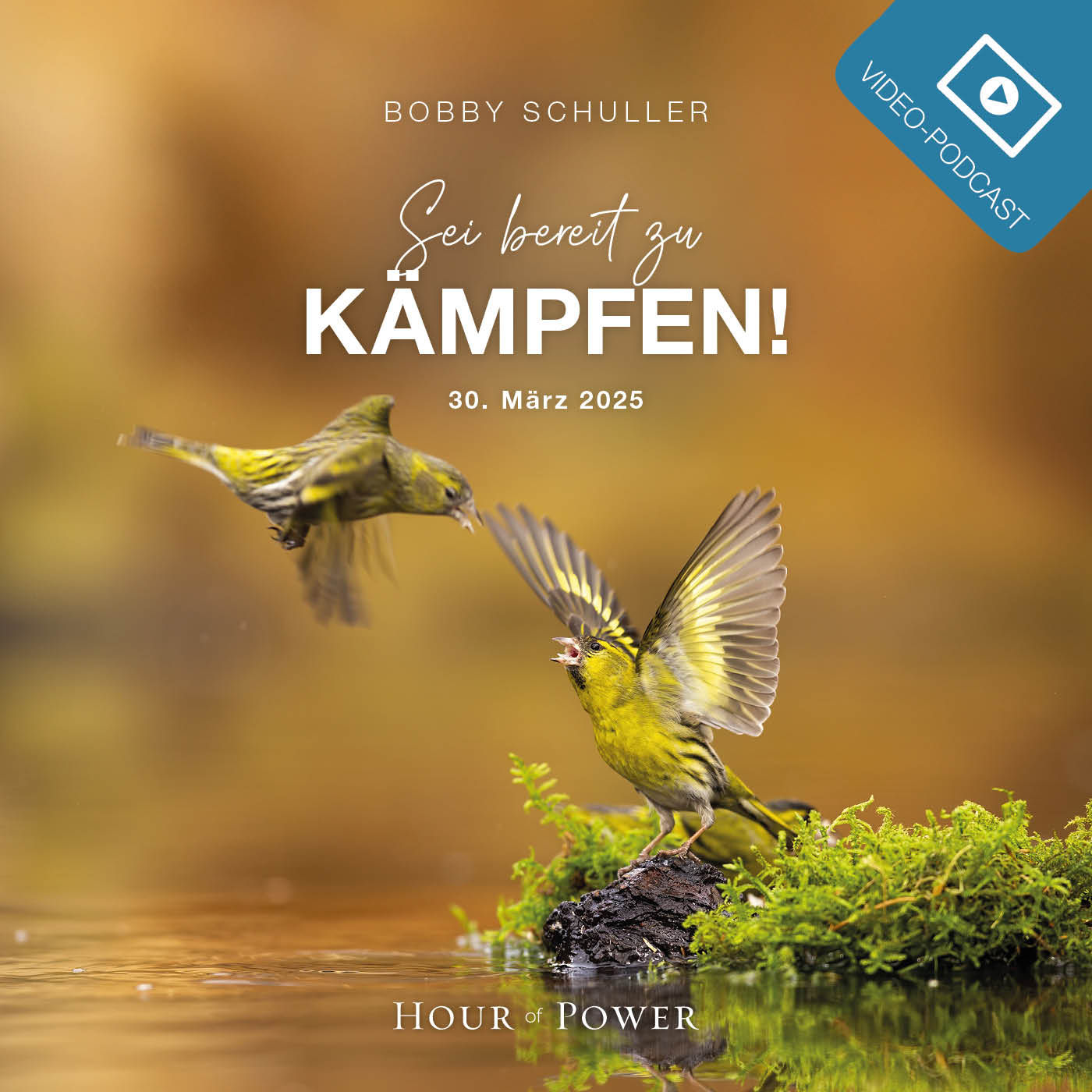 Sei bereit zu kämpfen! - Predigt von Bobby Schuller