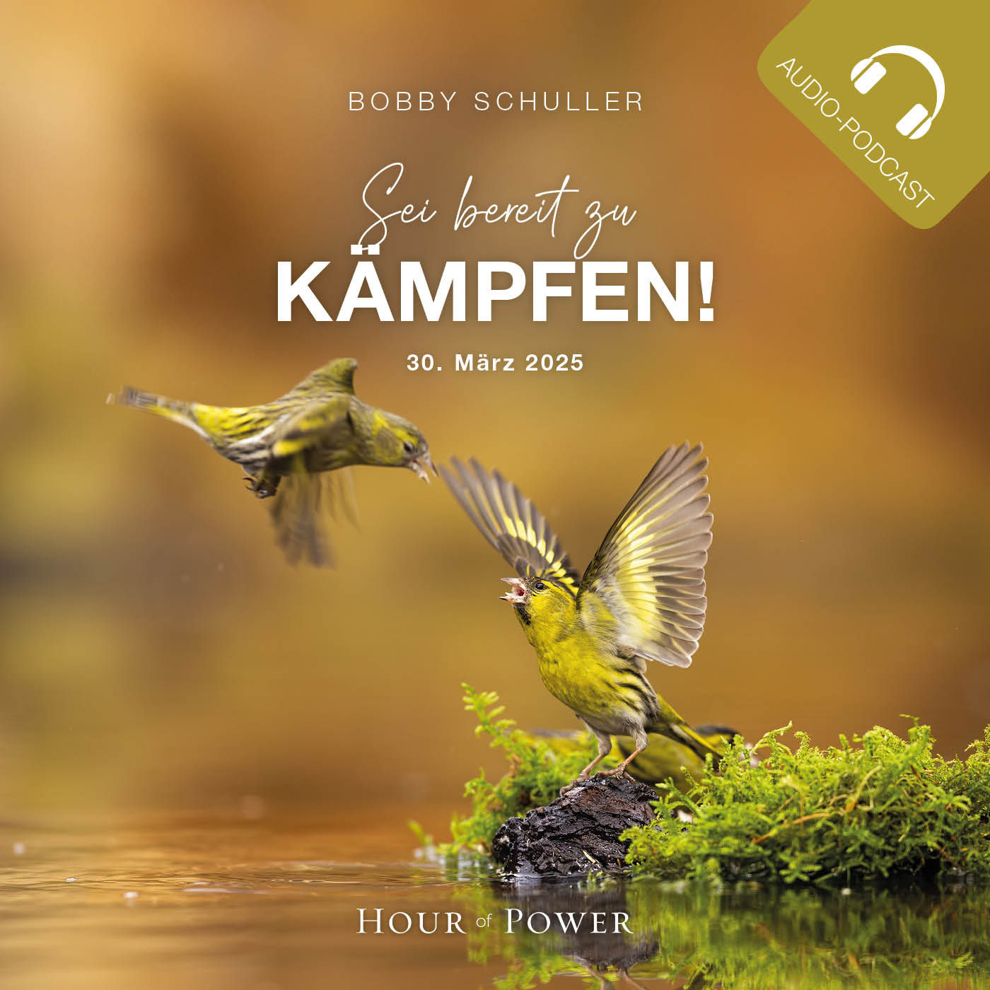 Sei bereit zu kämpfen! - Predigt von Bobby Schuller