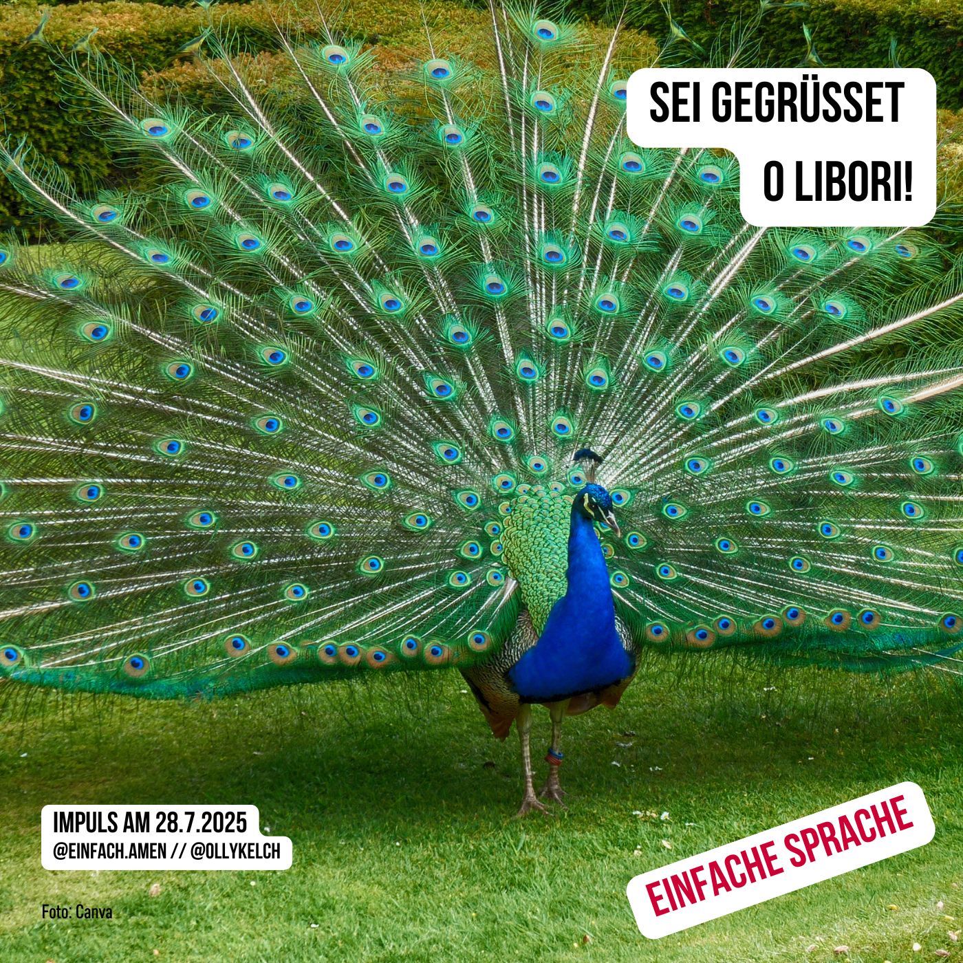 Sei gegrüsset, O Libori (28.7.2025)