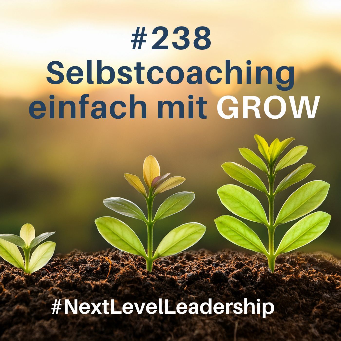 Selbstcoaching mit GROW: In 10 Minuten zu mehr Klarheit & Handlungsstärke
