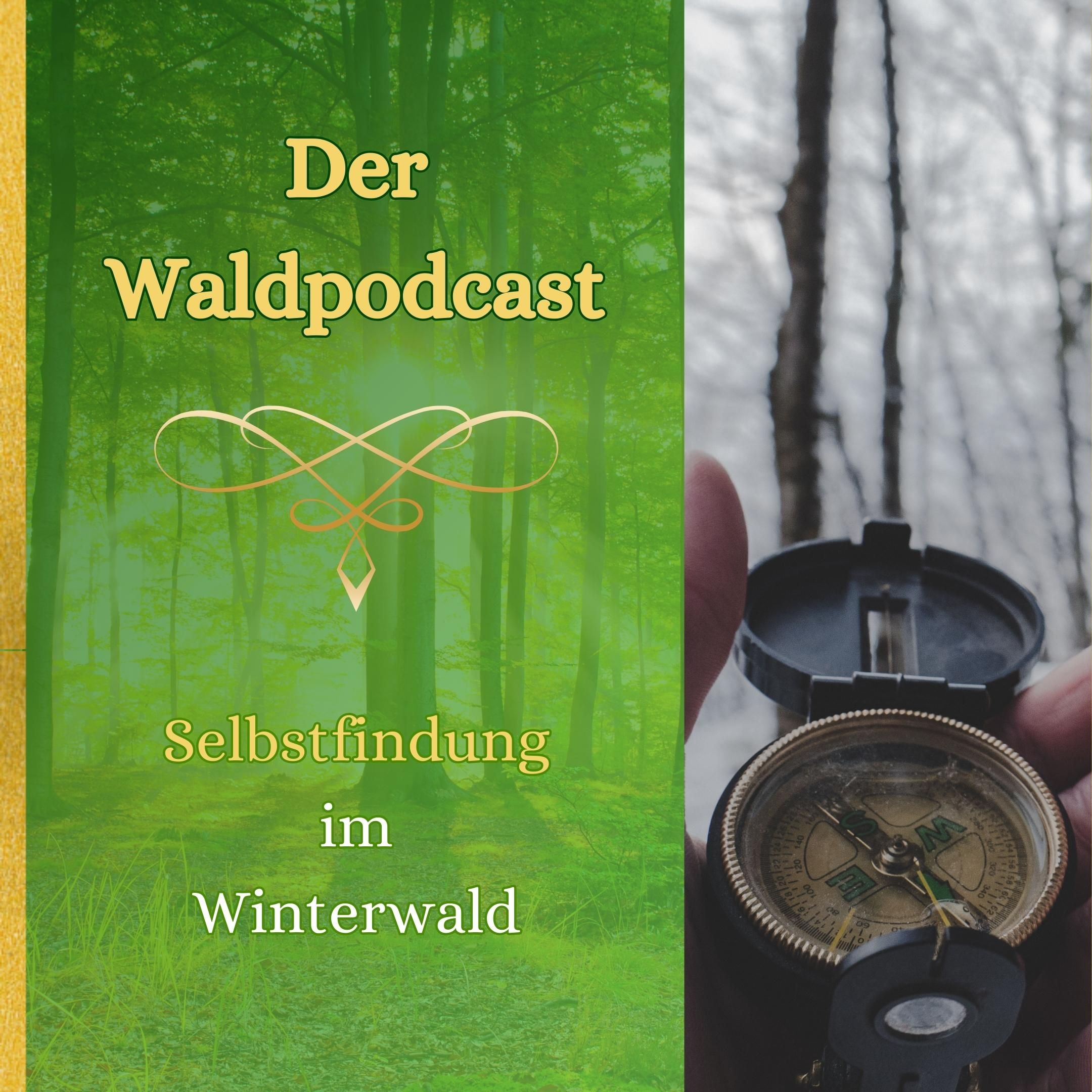 Selbstfindung im Winterwald