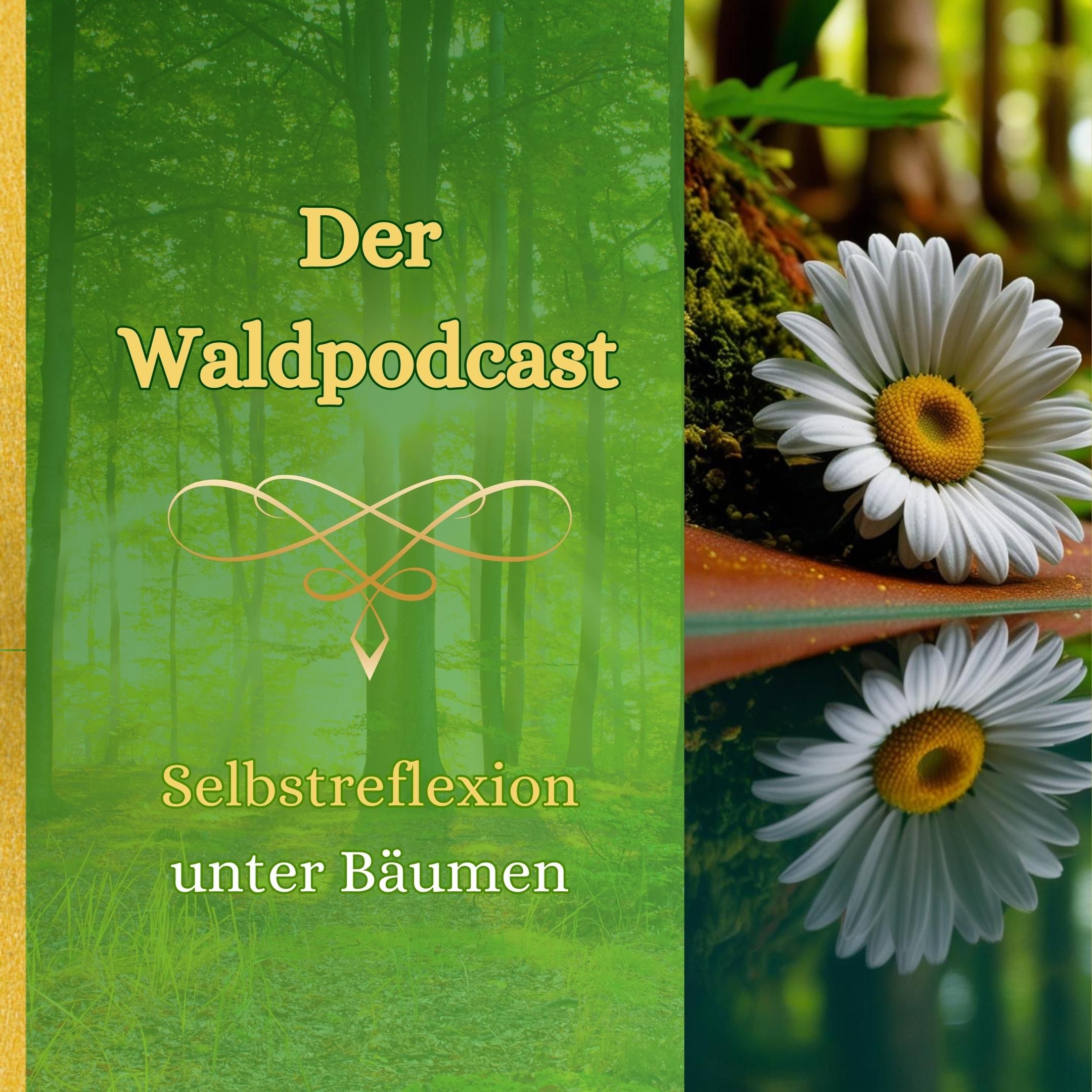 Selbstreflexion unter Bäumen