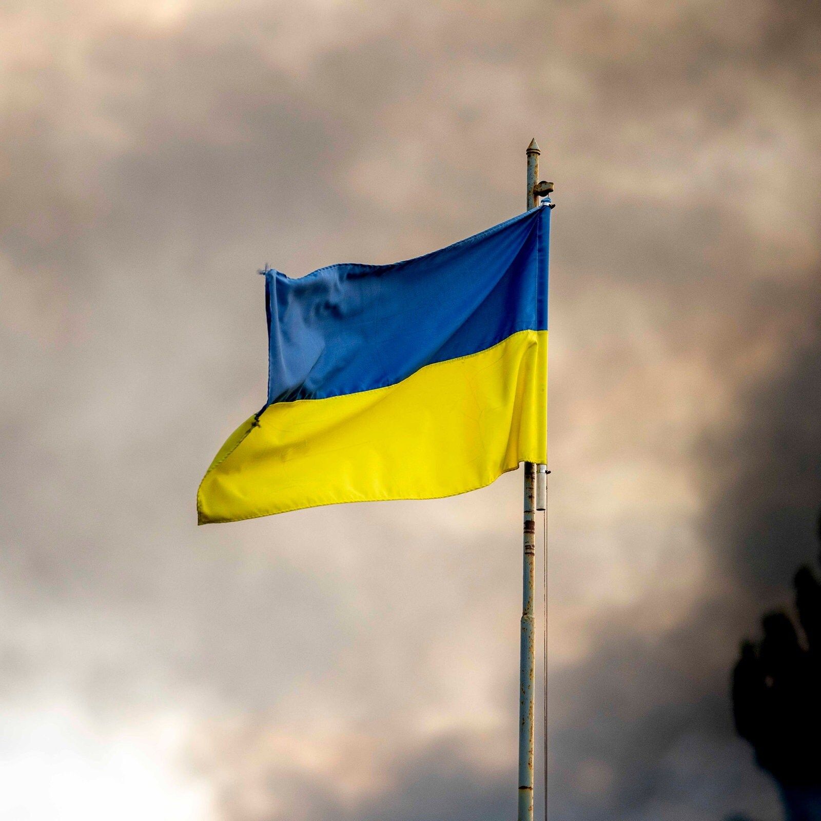 Selenskyj zeigt sich offen für Neuwahlen in der Ukraine