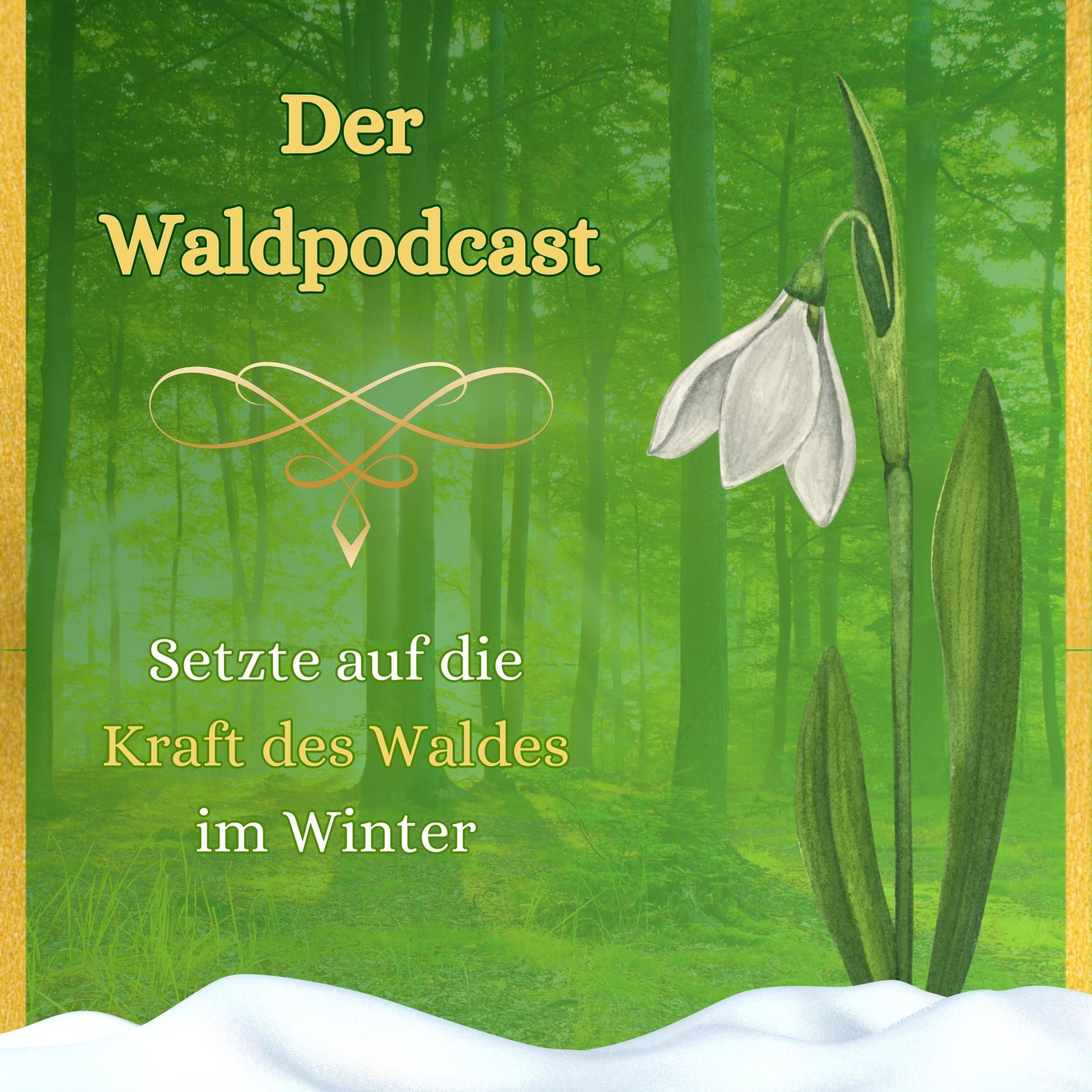 Setzte auf die Kraft des Waldes im Winter