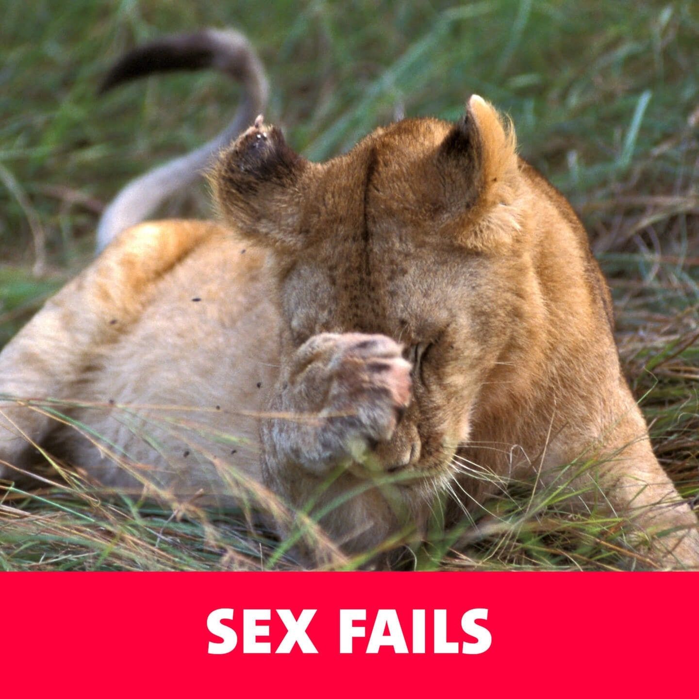 Sex Fails