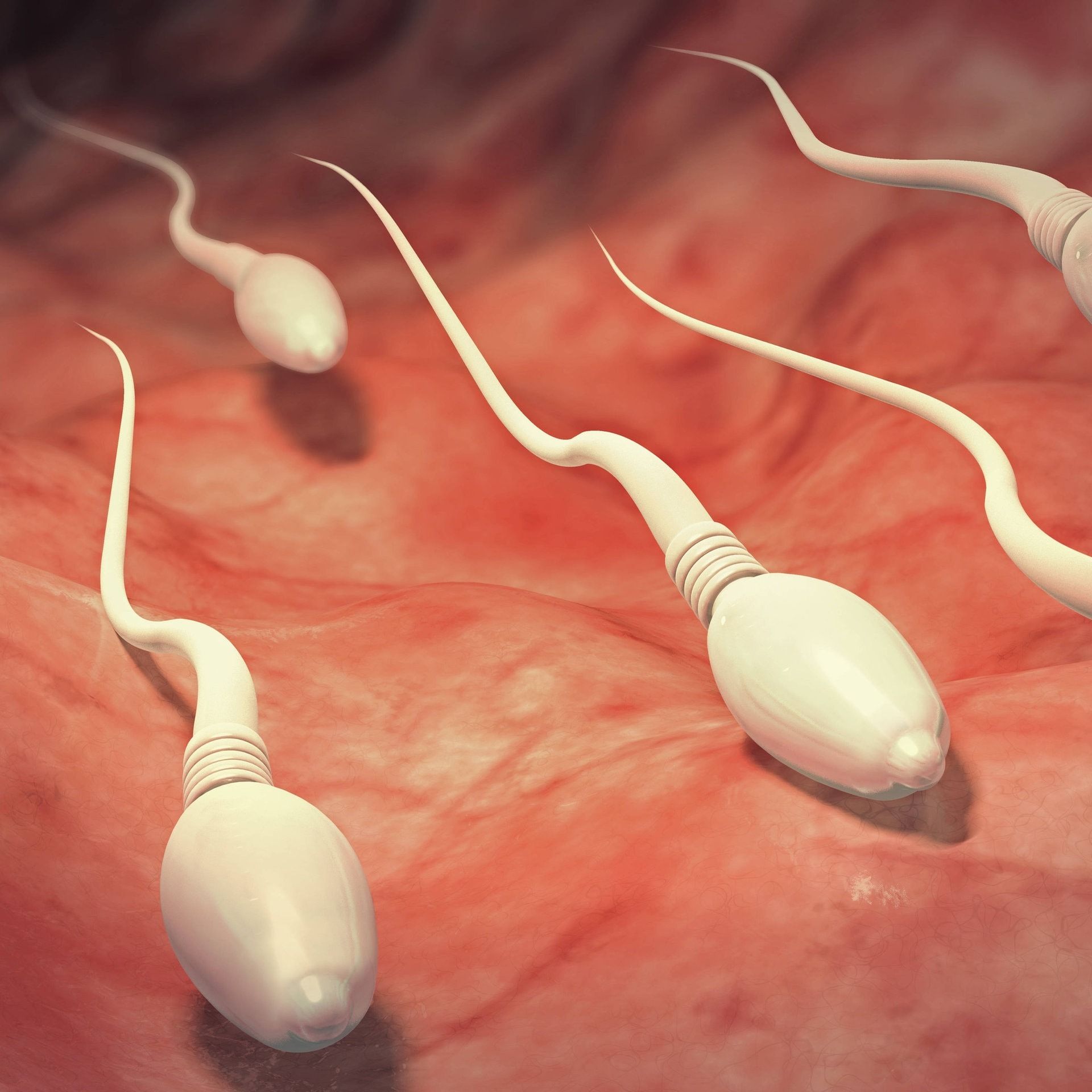 Sex im All: Fehlende Schwerkraft erschwert Schwangerschaften