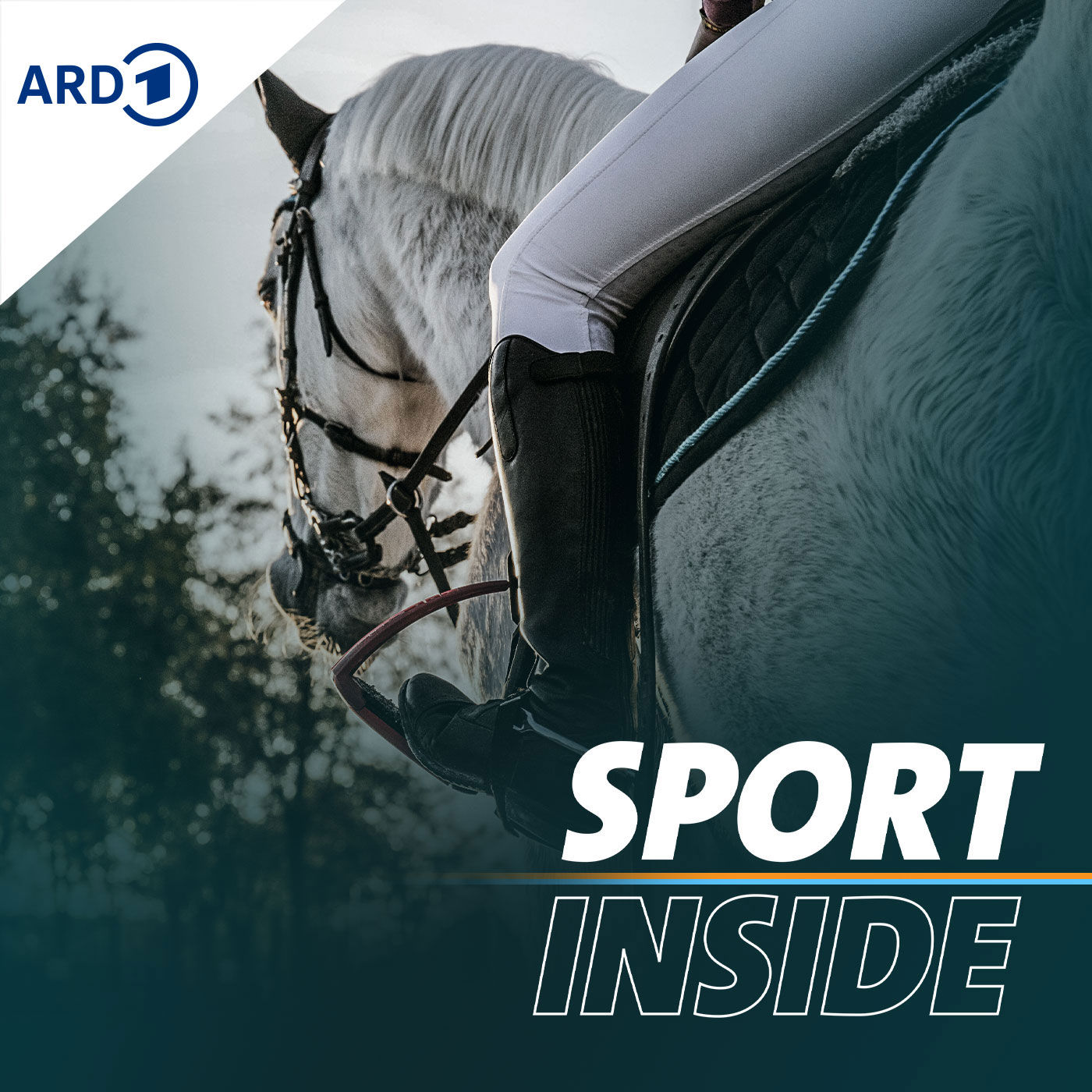 Sexualisierte Gewalt im Reiten
