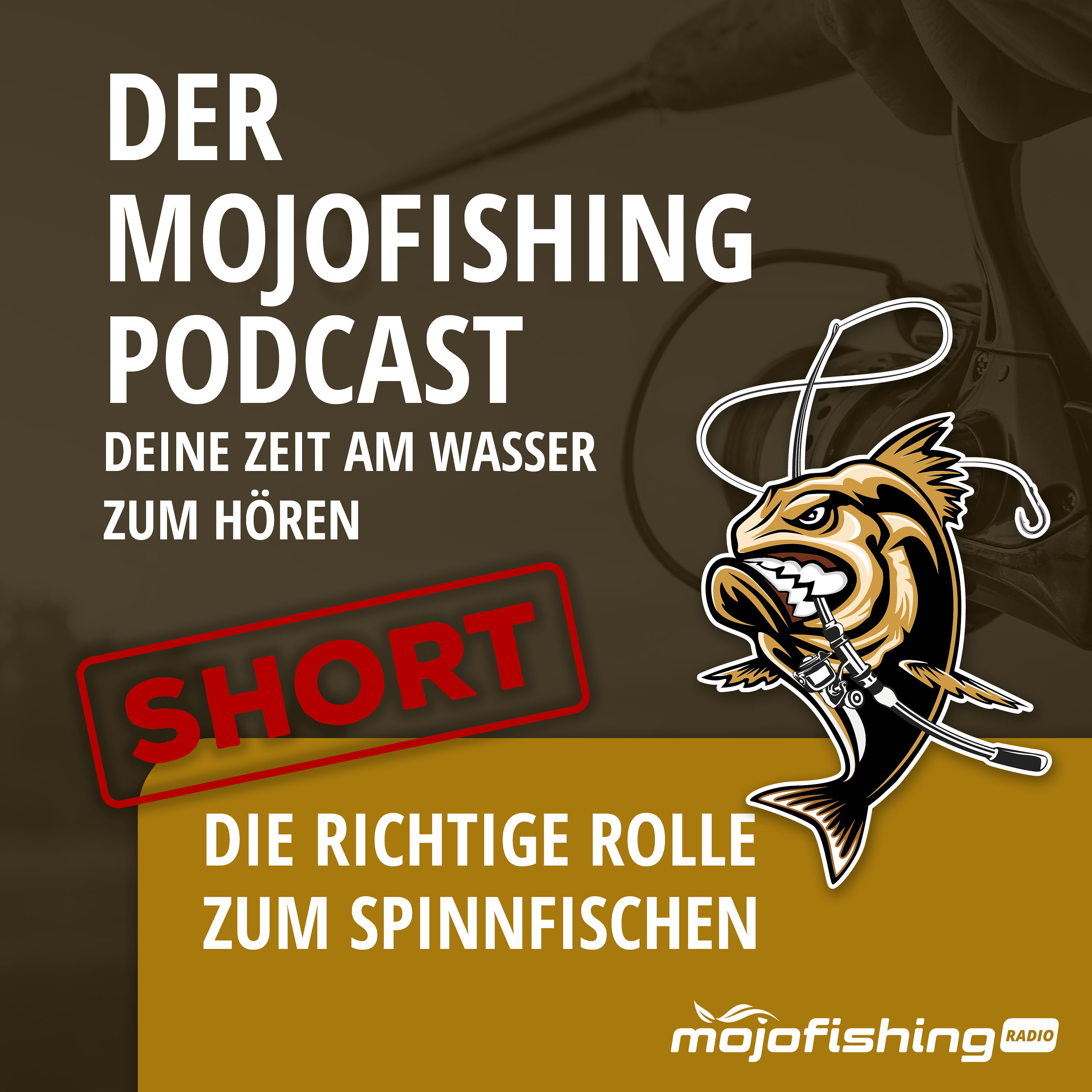 SHORT - Die richtige Rolle zum Spinnfischen