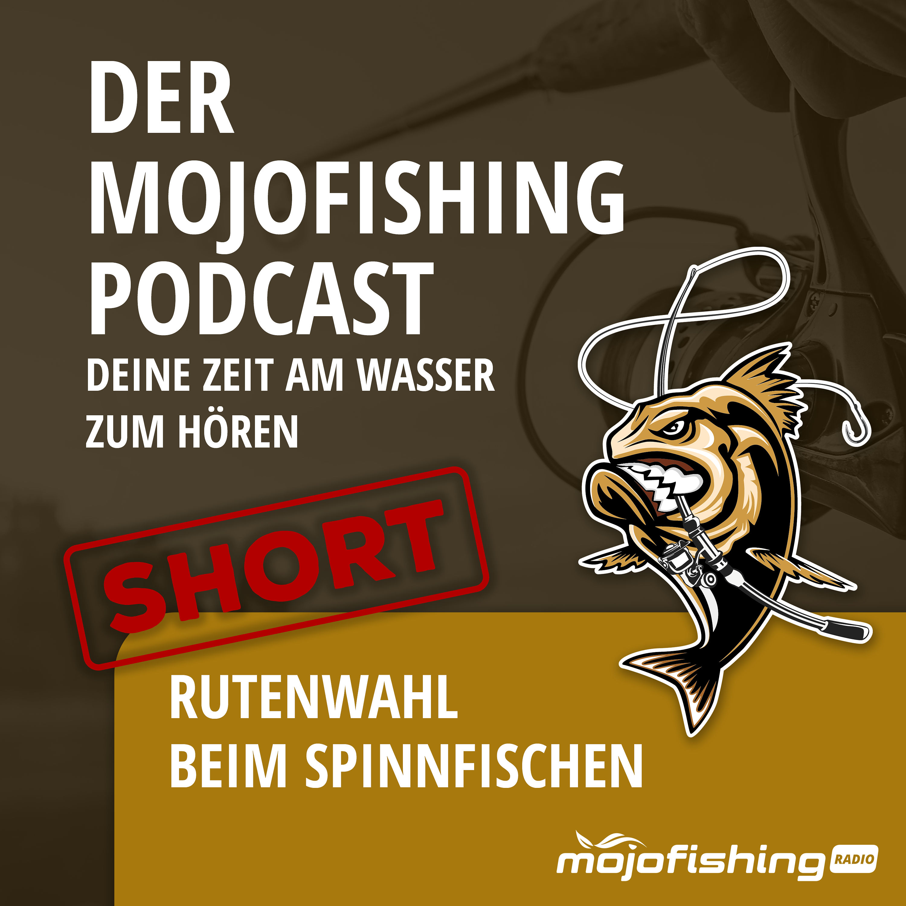 SHORT - Rutenwahl beim Spinnfischen