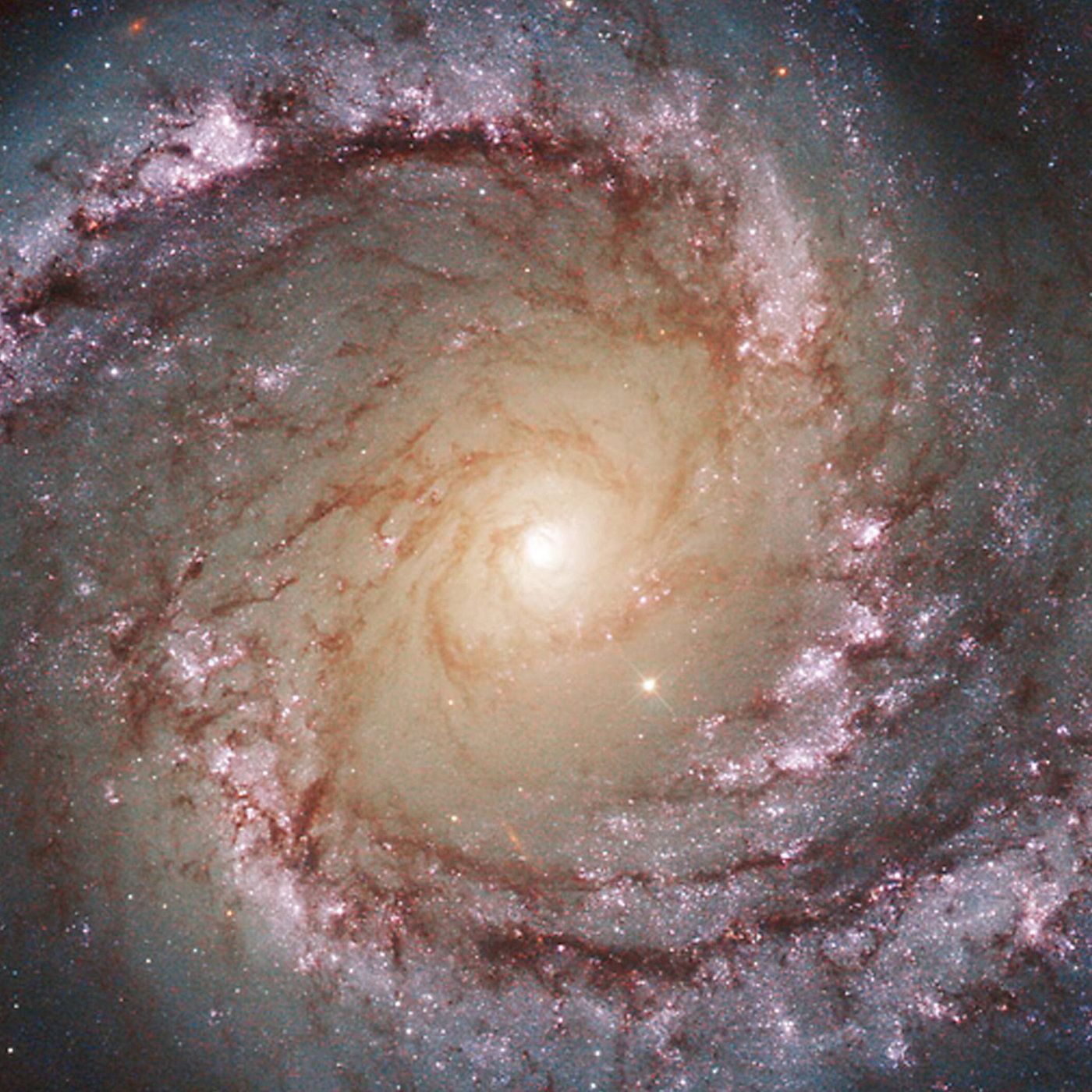 Sibylle Anderl: Über das Universum