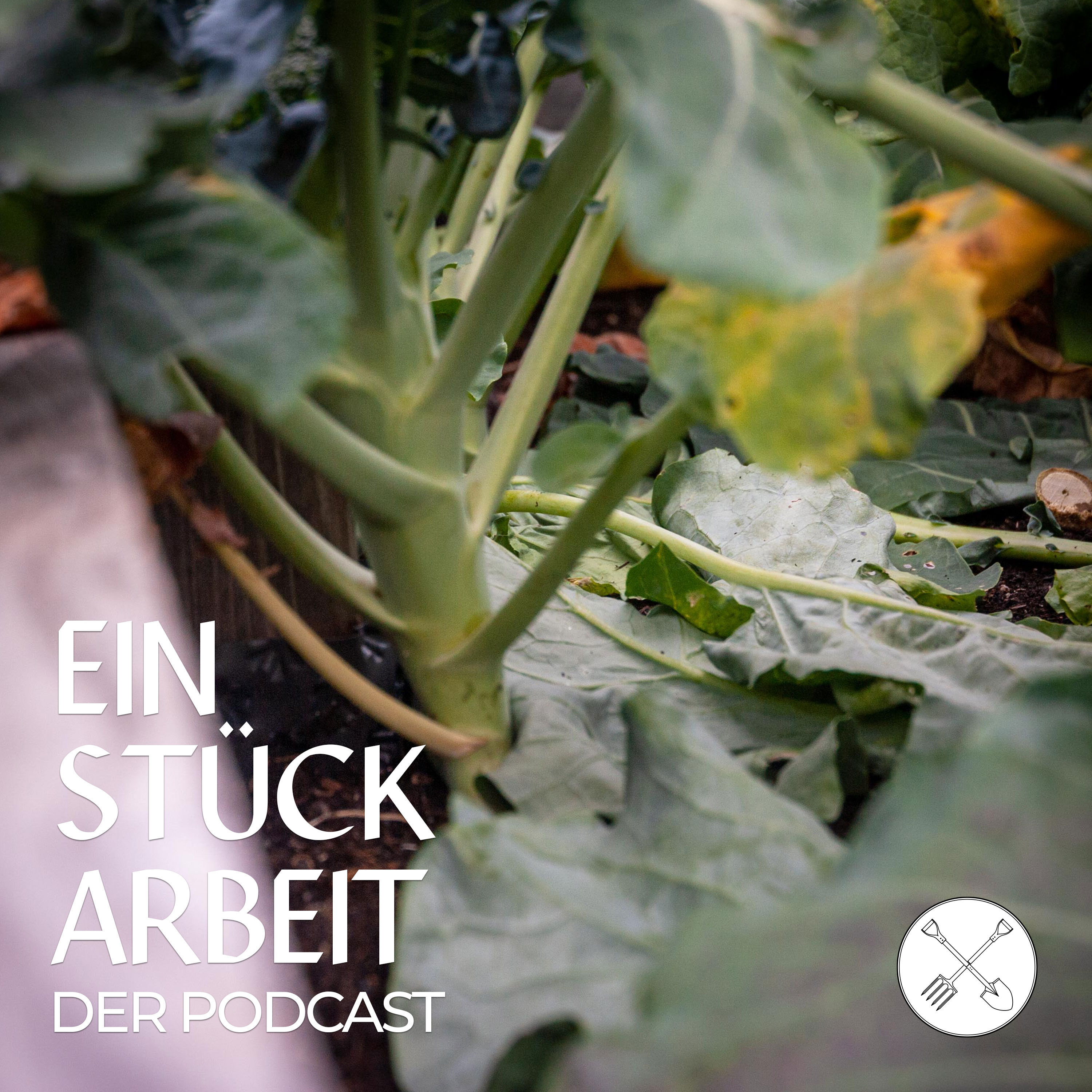 Sieben Tipps zum richtigen Mulchen