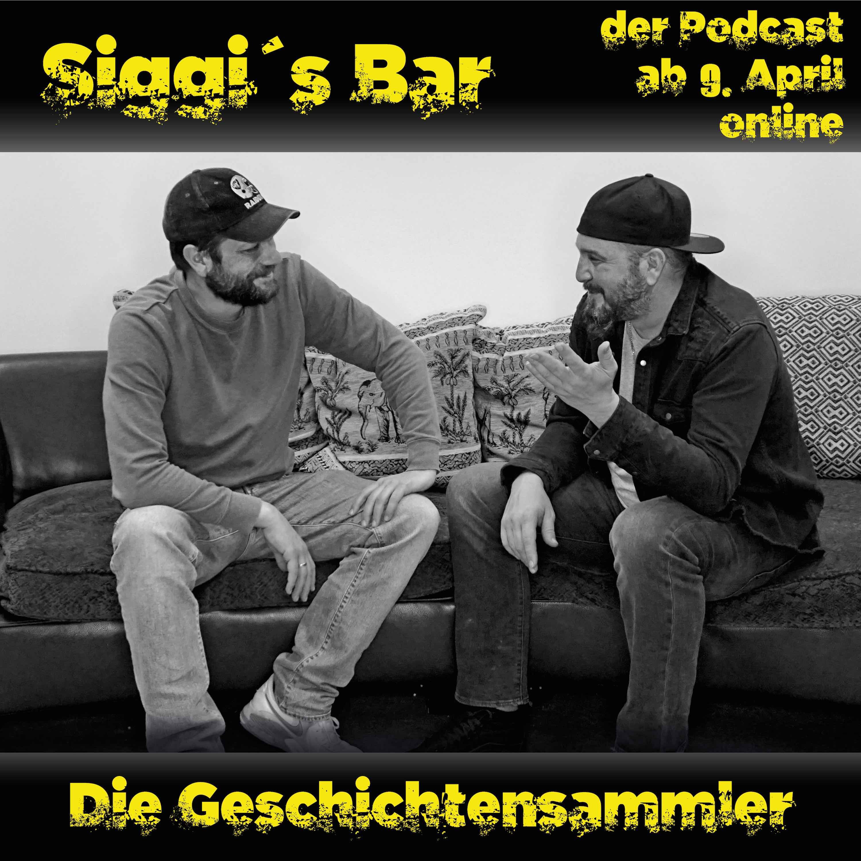 Siggis Bar Intro
