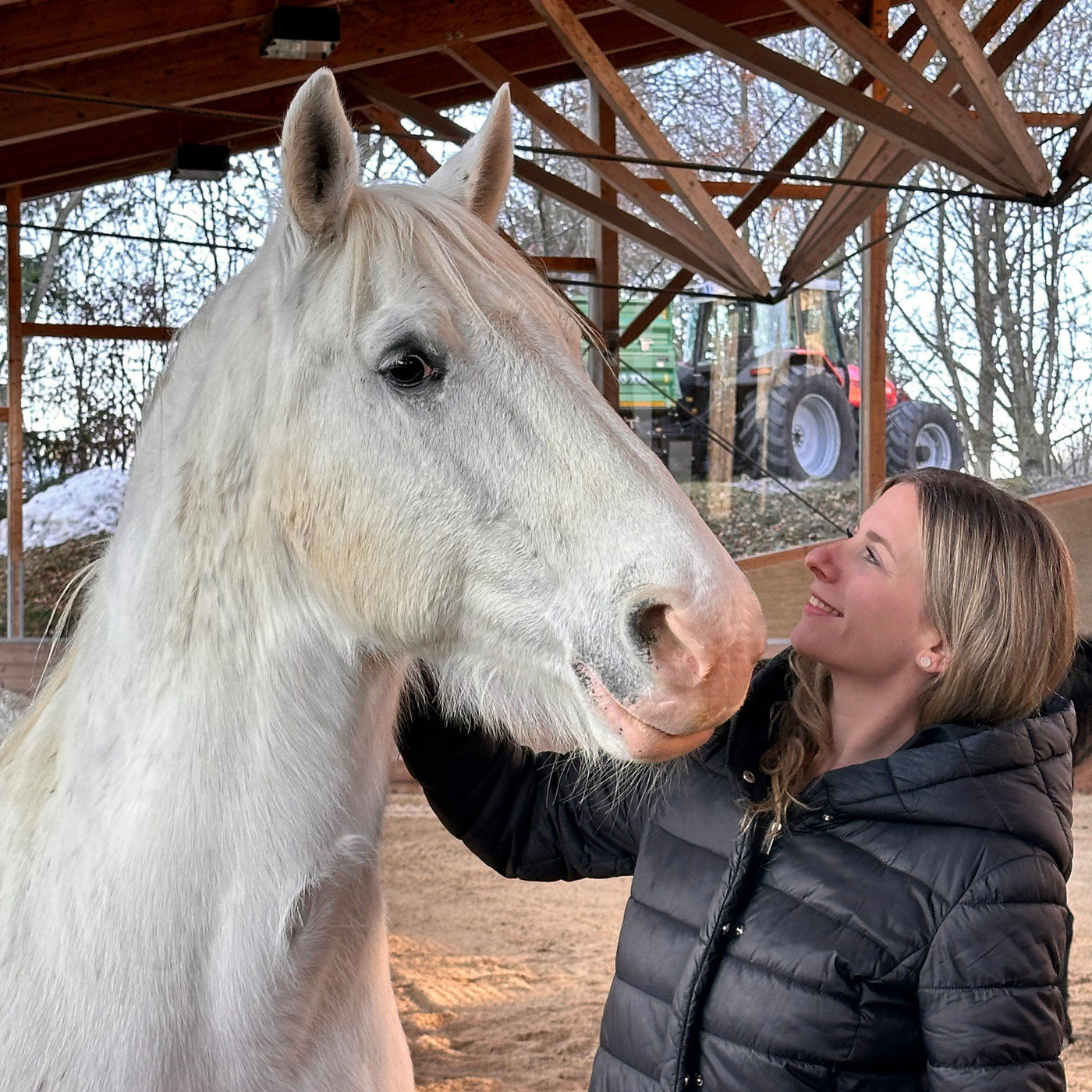 Silvia Plangg: Meditation- und Achtsamkeitstraining mit Pferden