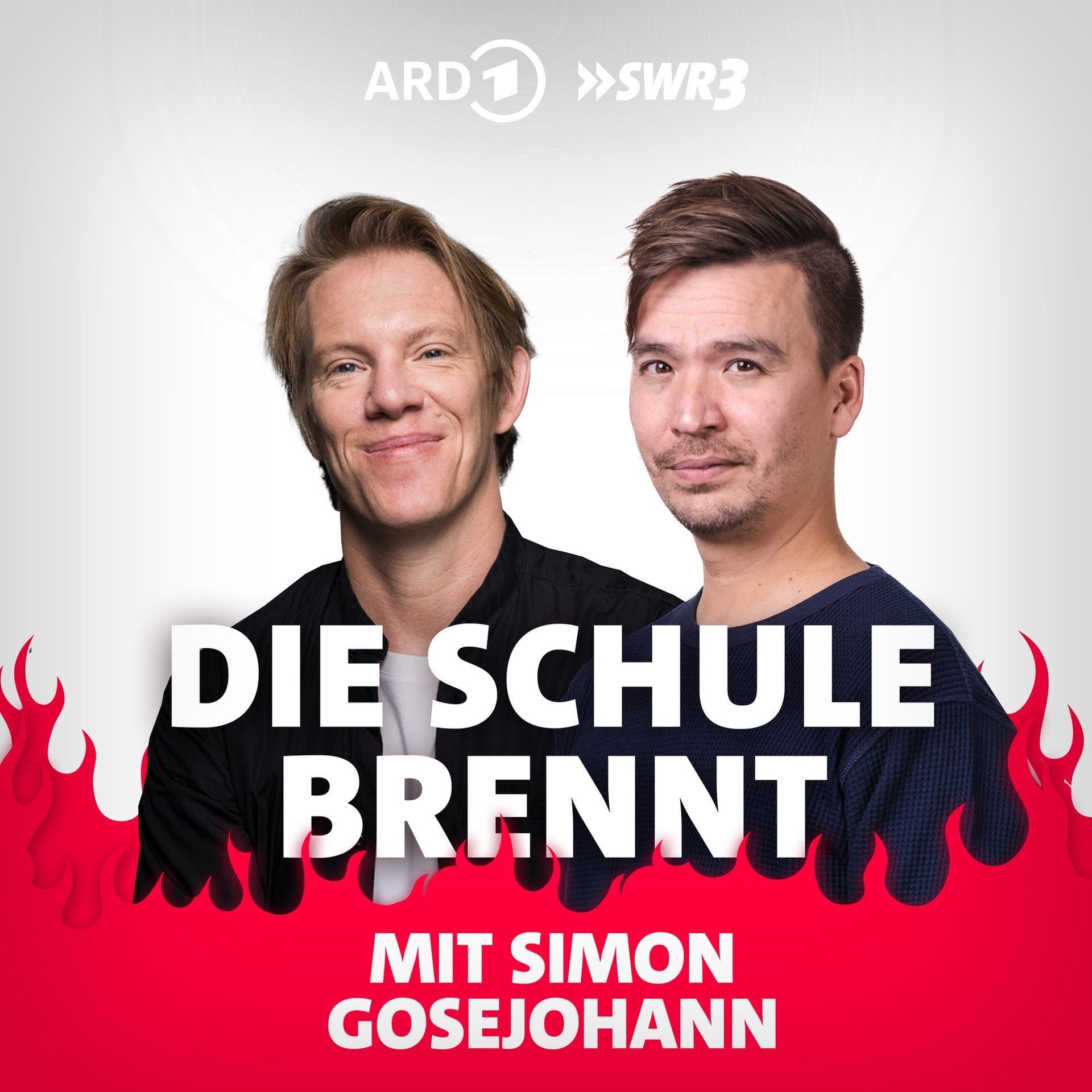 Simon Gosejohann: Schulkritik & alternative Schulformen